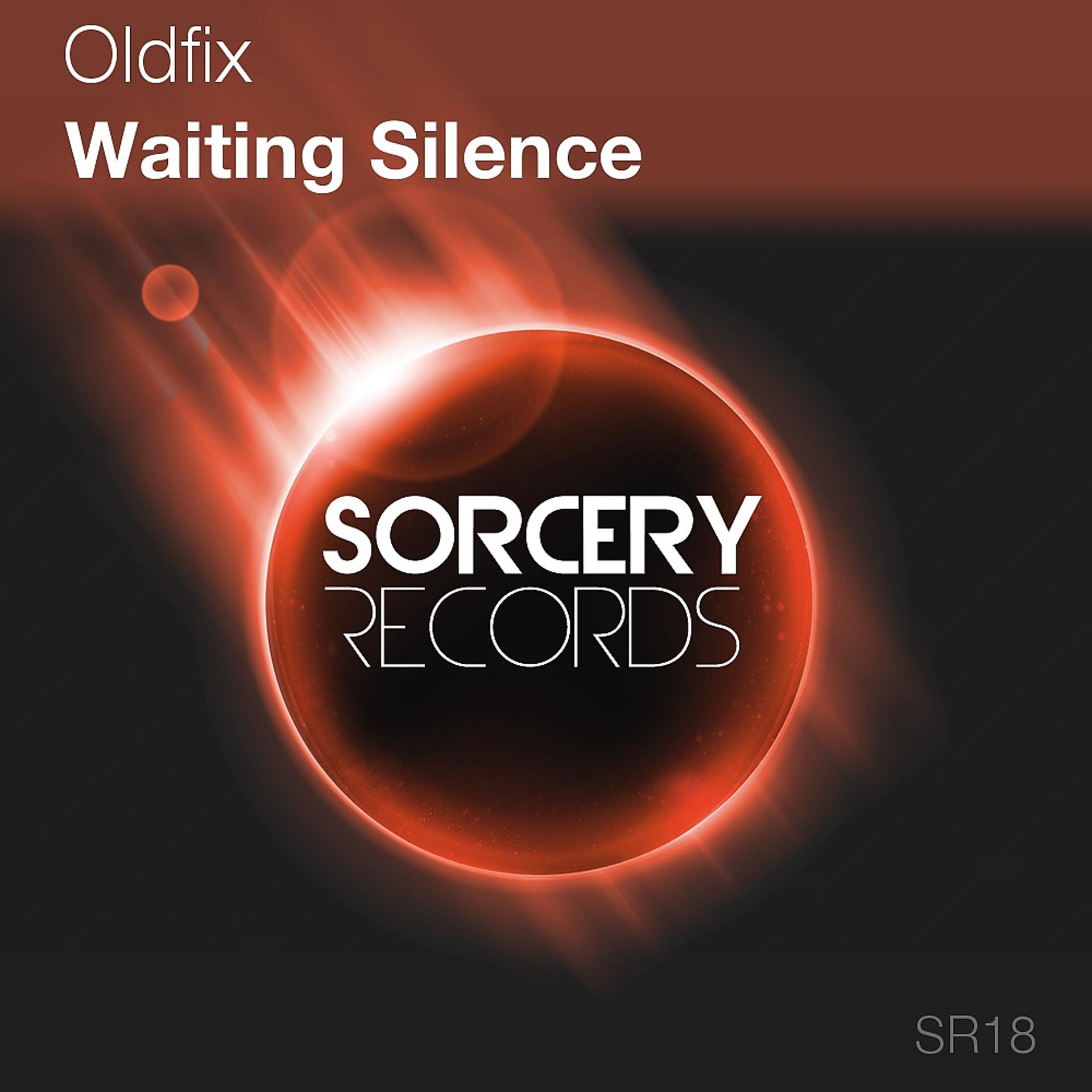 Постер альбома Waiting Silence