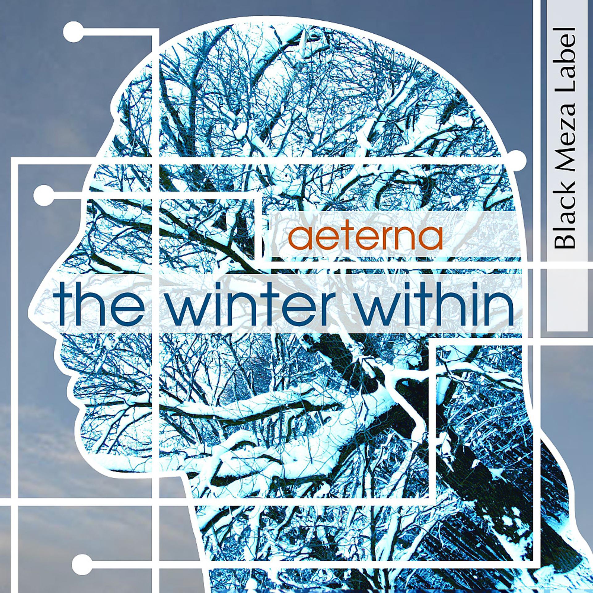 Постер альбома The Winter Within