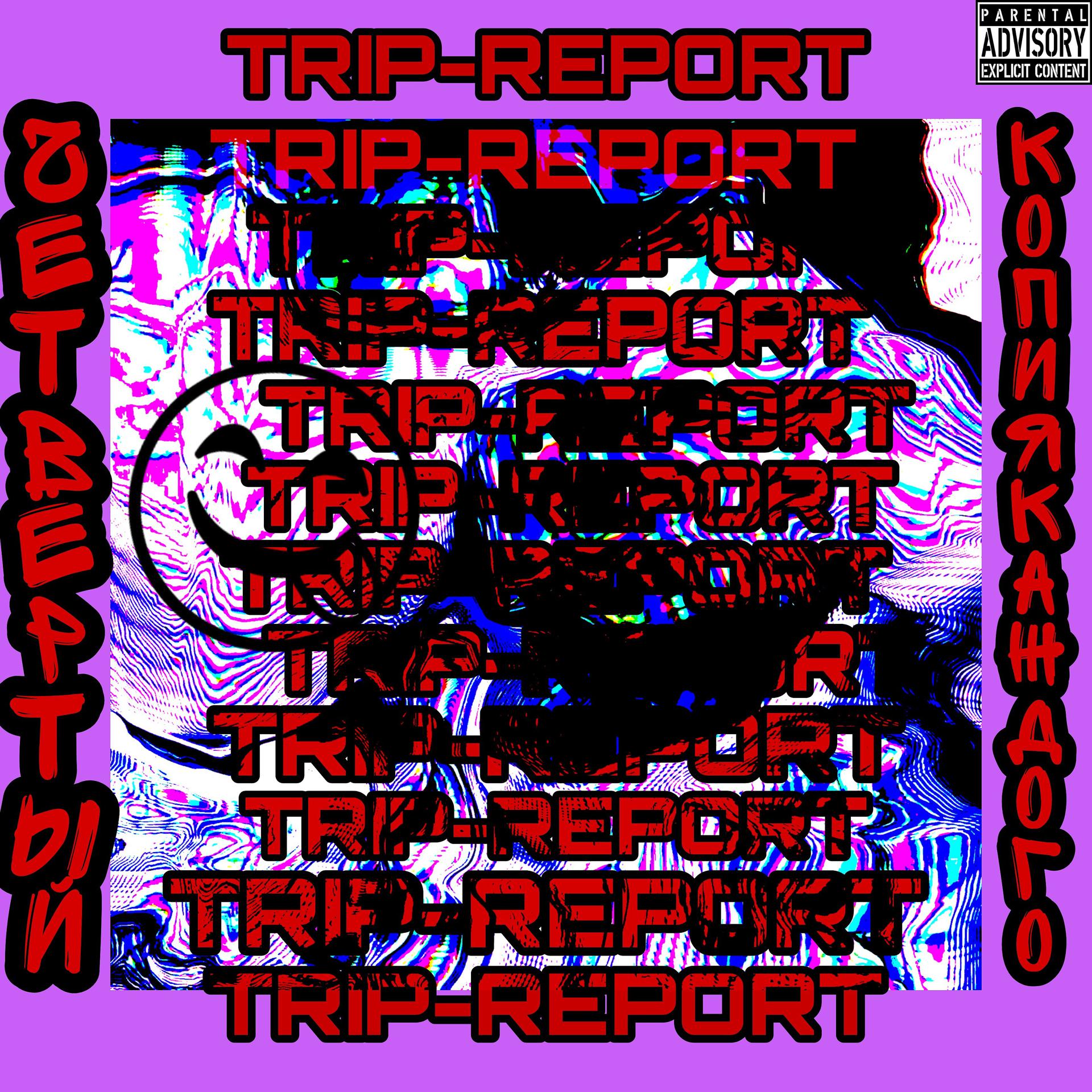 Постер альбома Trip-report