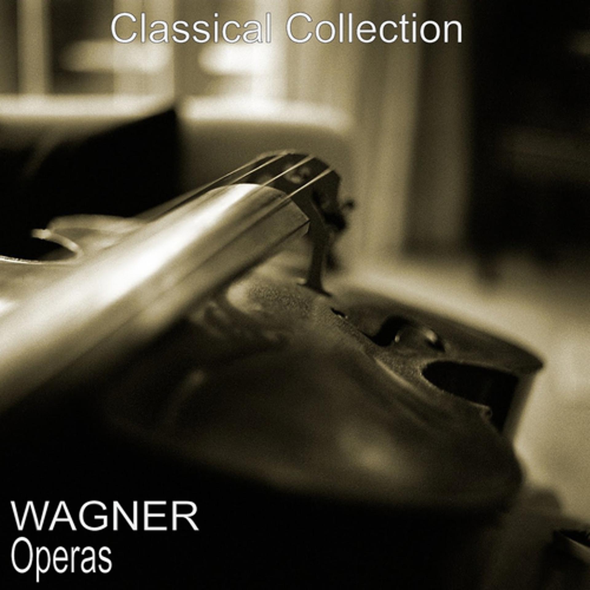 Постер альбома Wagner: Operas
