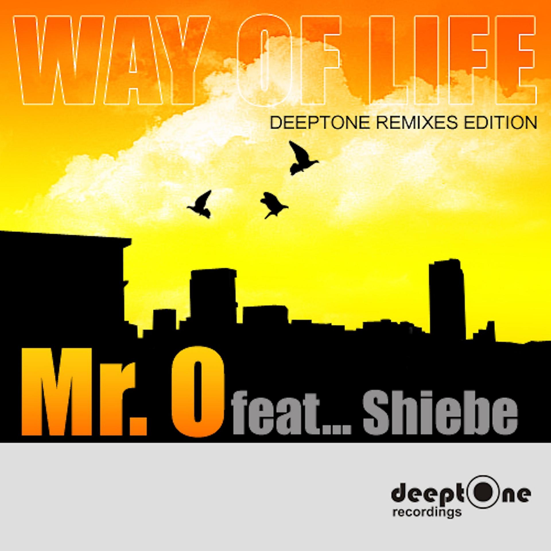 Постер альбома Way Of Life (Deeptone Remix Edition)
