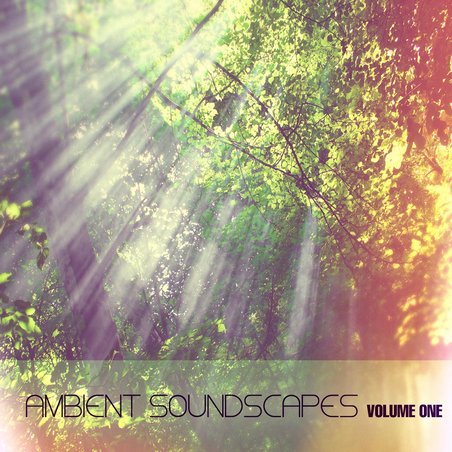 Постер альбома Ambient Soundscapes, Vol.1