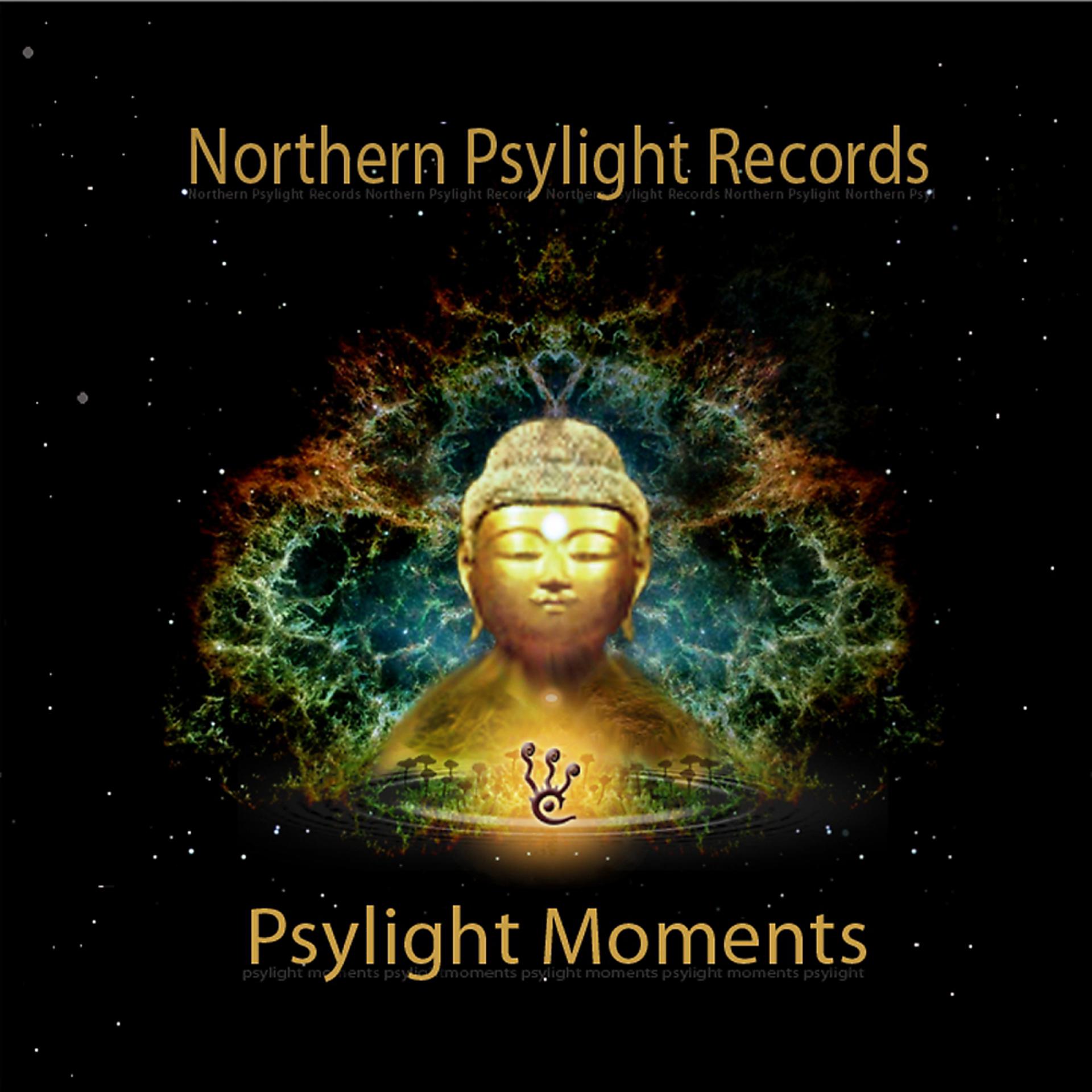 Постер альбома Psylight Moments