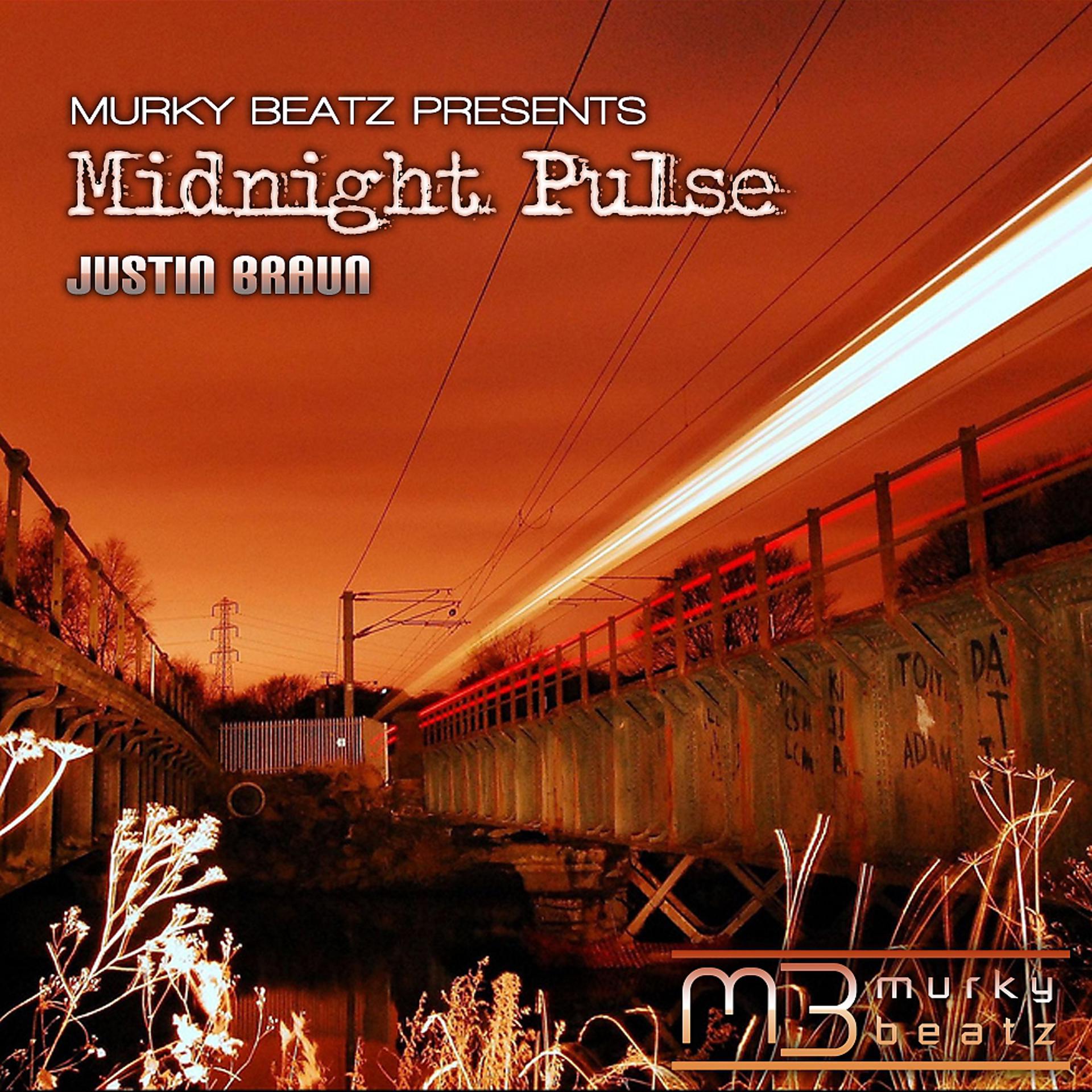 Постер альбома Midnight Pulse
