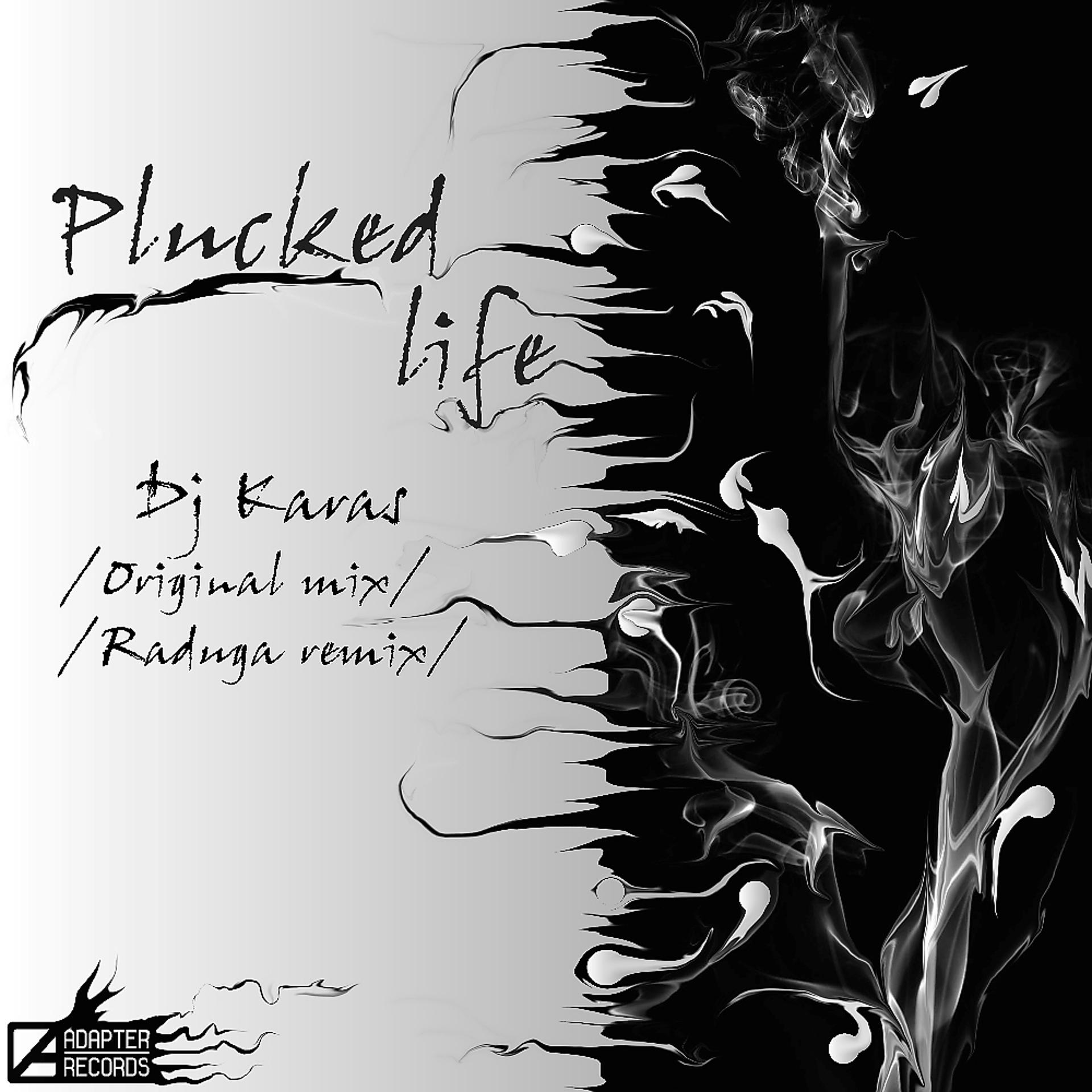 Постер альбома Plucked Life