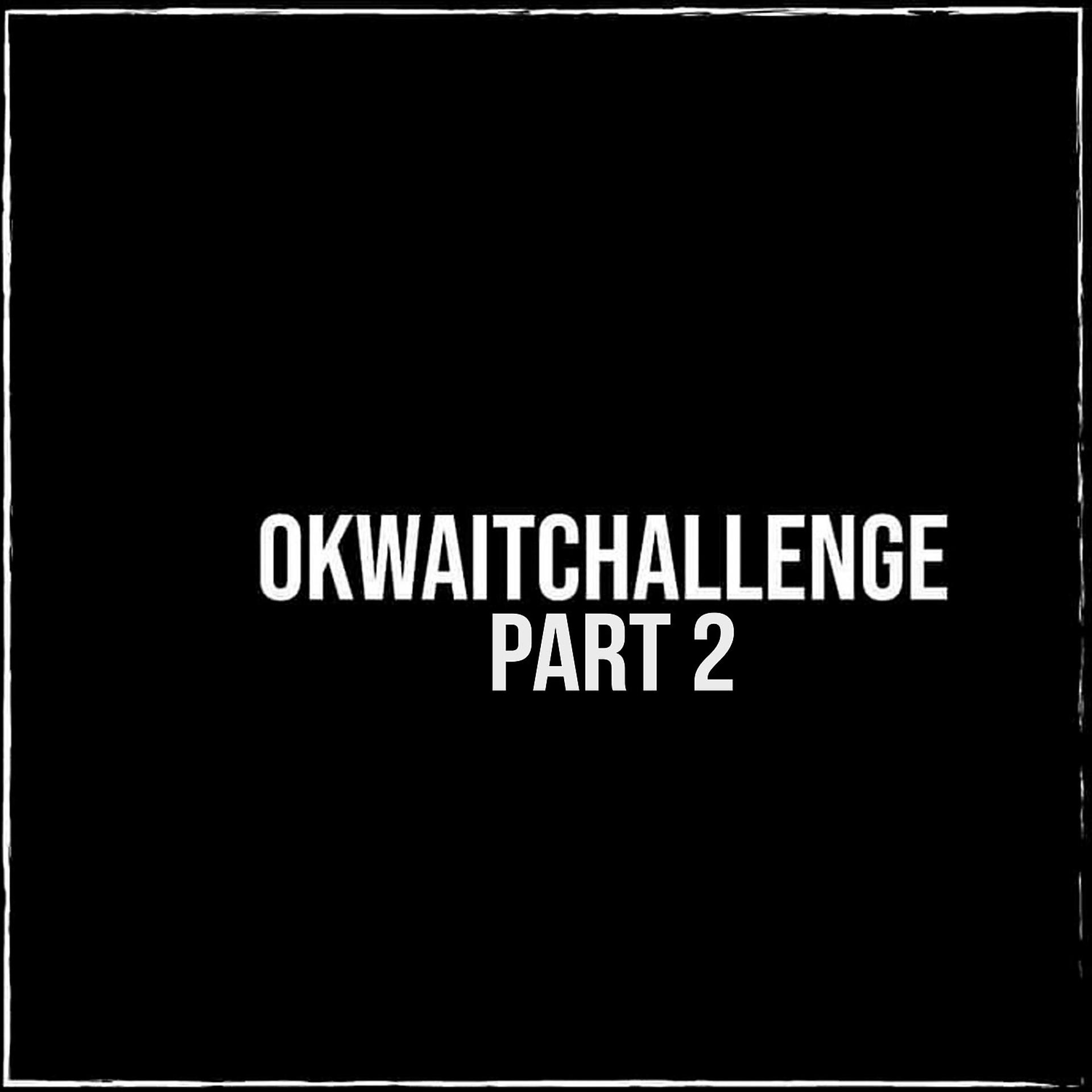 Постер альбома Ok Wait Challenge, Pt. 2