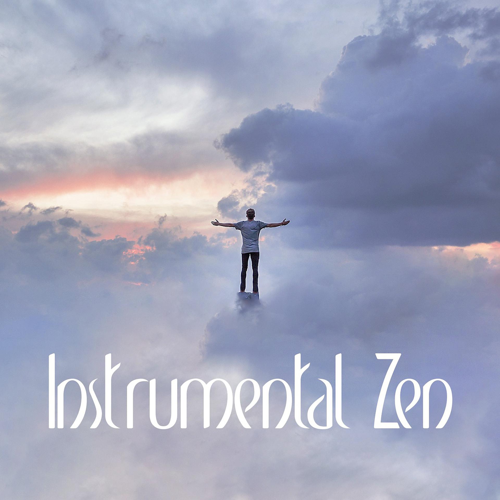 Постер альбома Instrumental Zen
