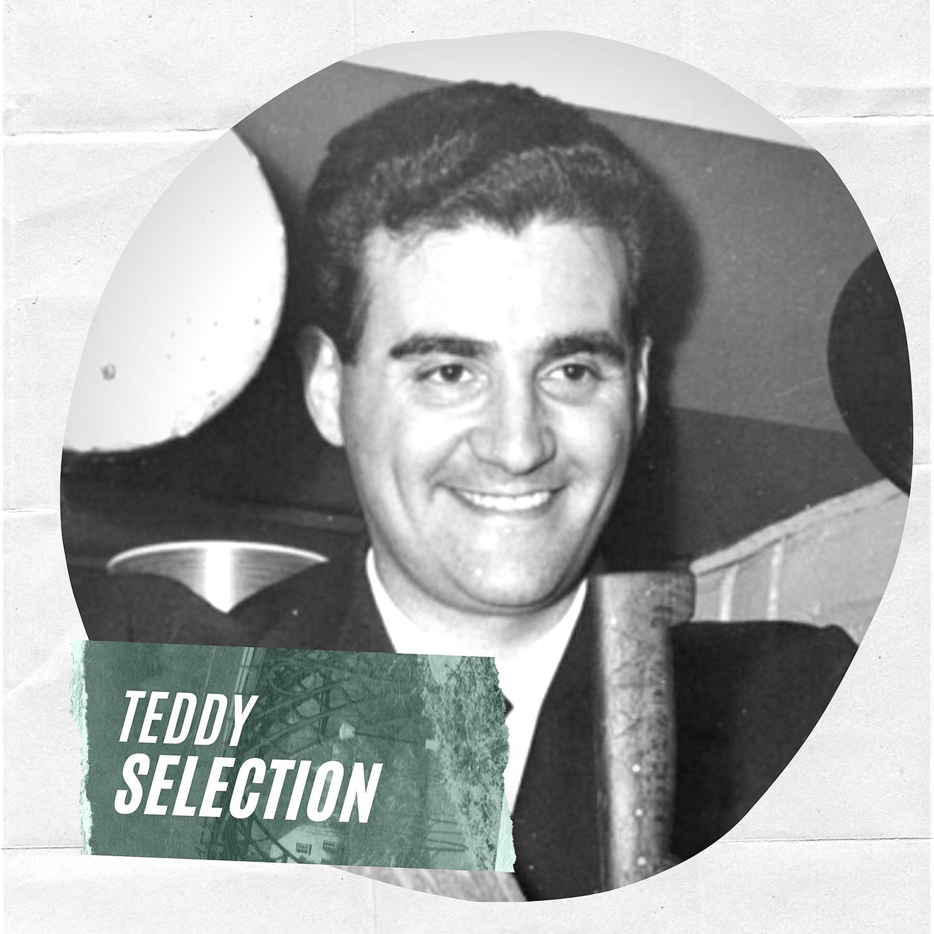 Постер альбома Teddy Selection