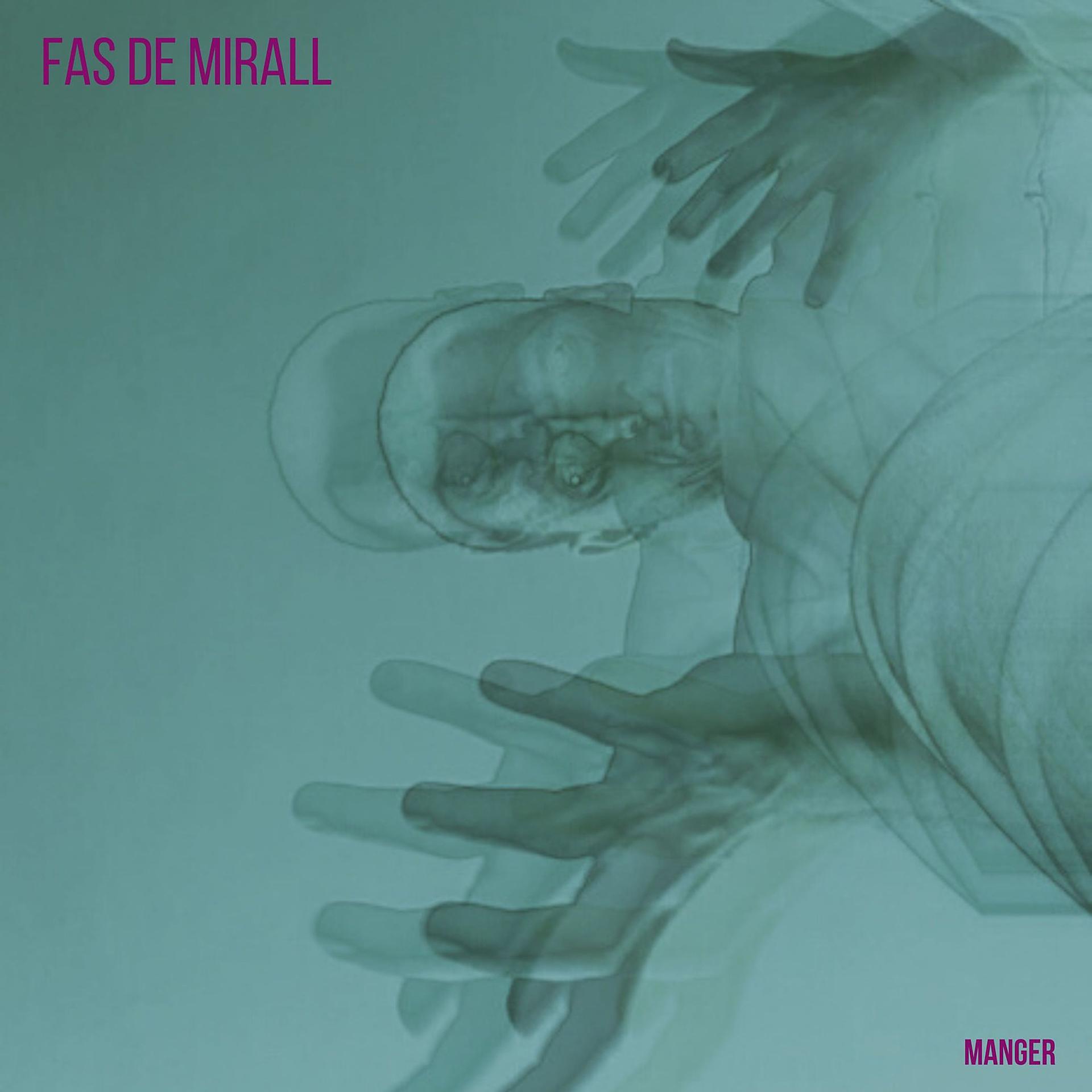 Постер альбома Fas de mirall
