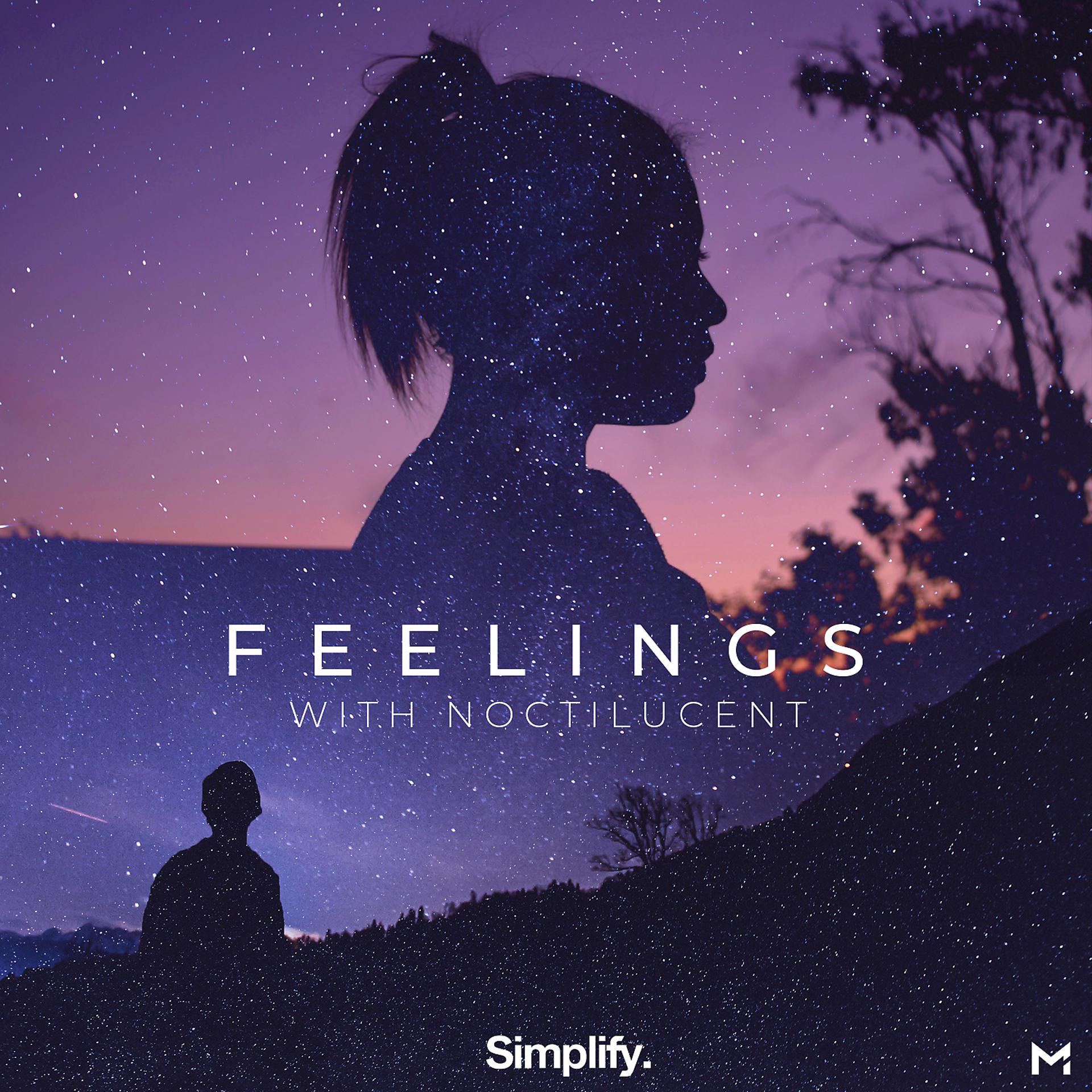 Постер альбома Feelings (feat. Noctilucent)
