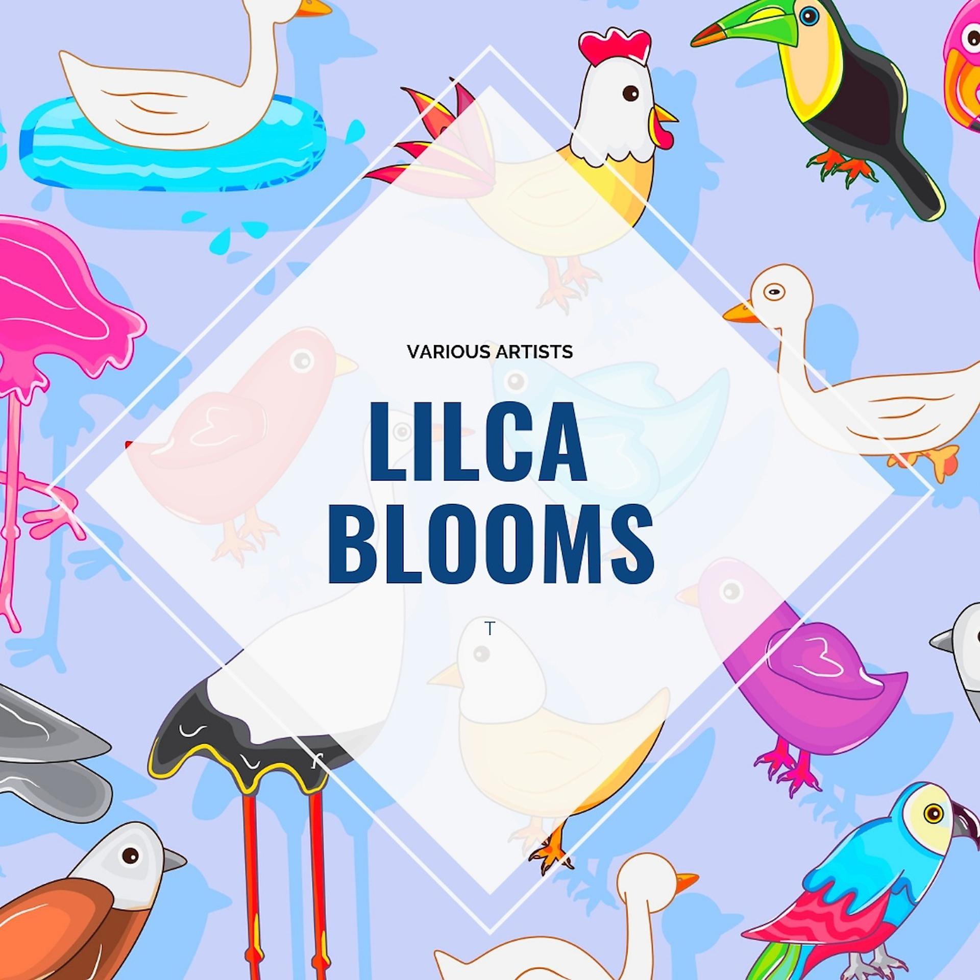 Постер альбома Lilca Blooms