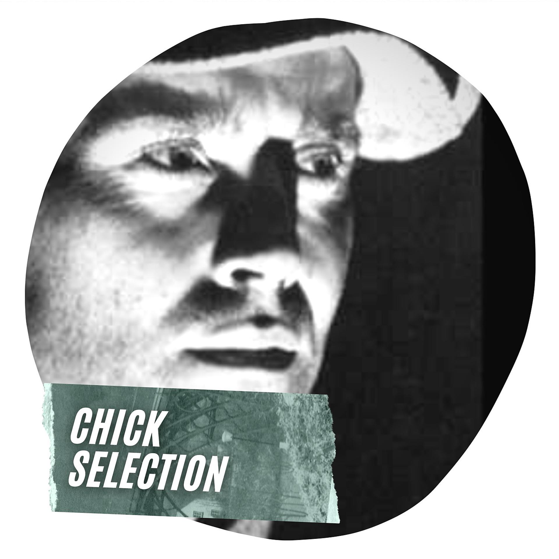 Постер альбома Chick Selection