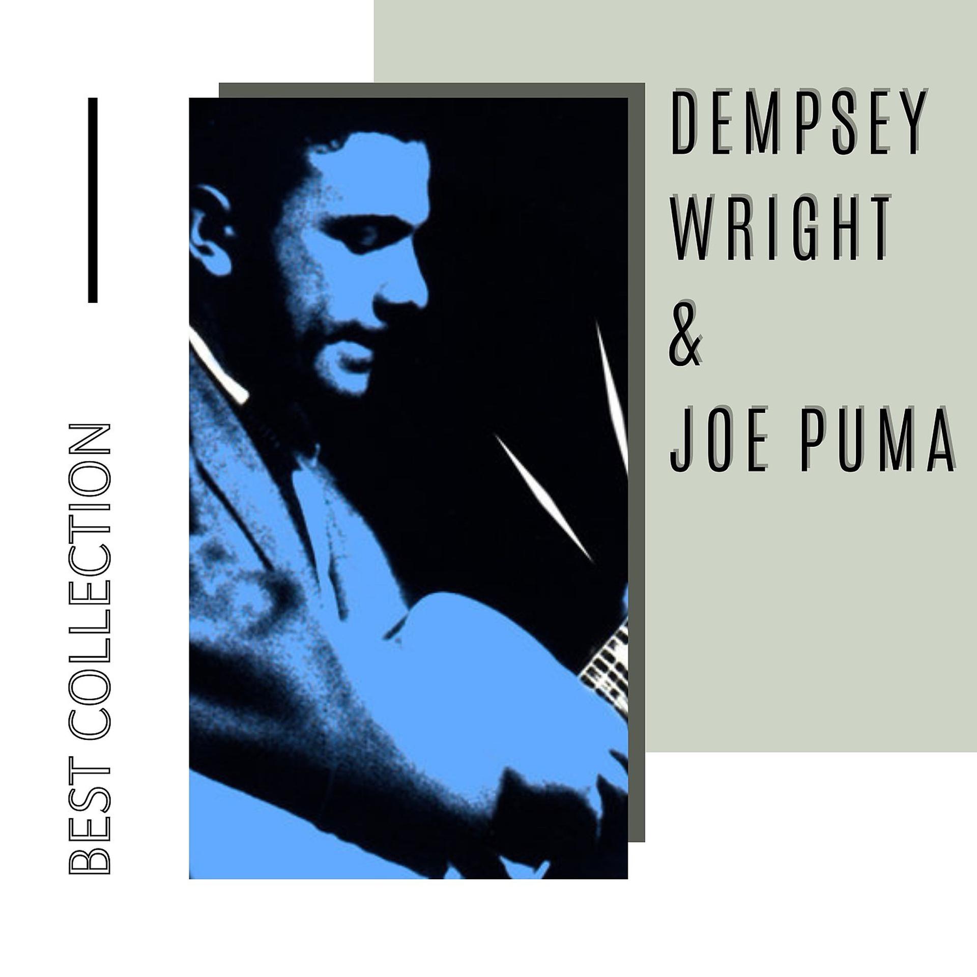 Постер альбома Best Collection Dempsey Wright & Joe Puma