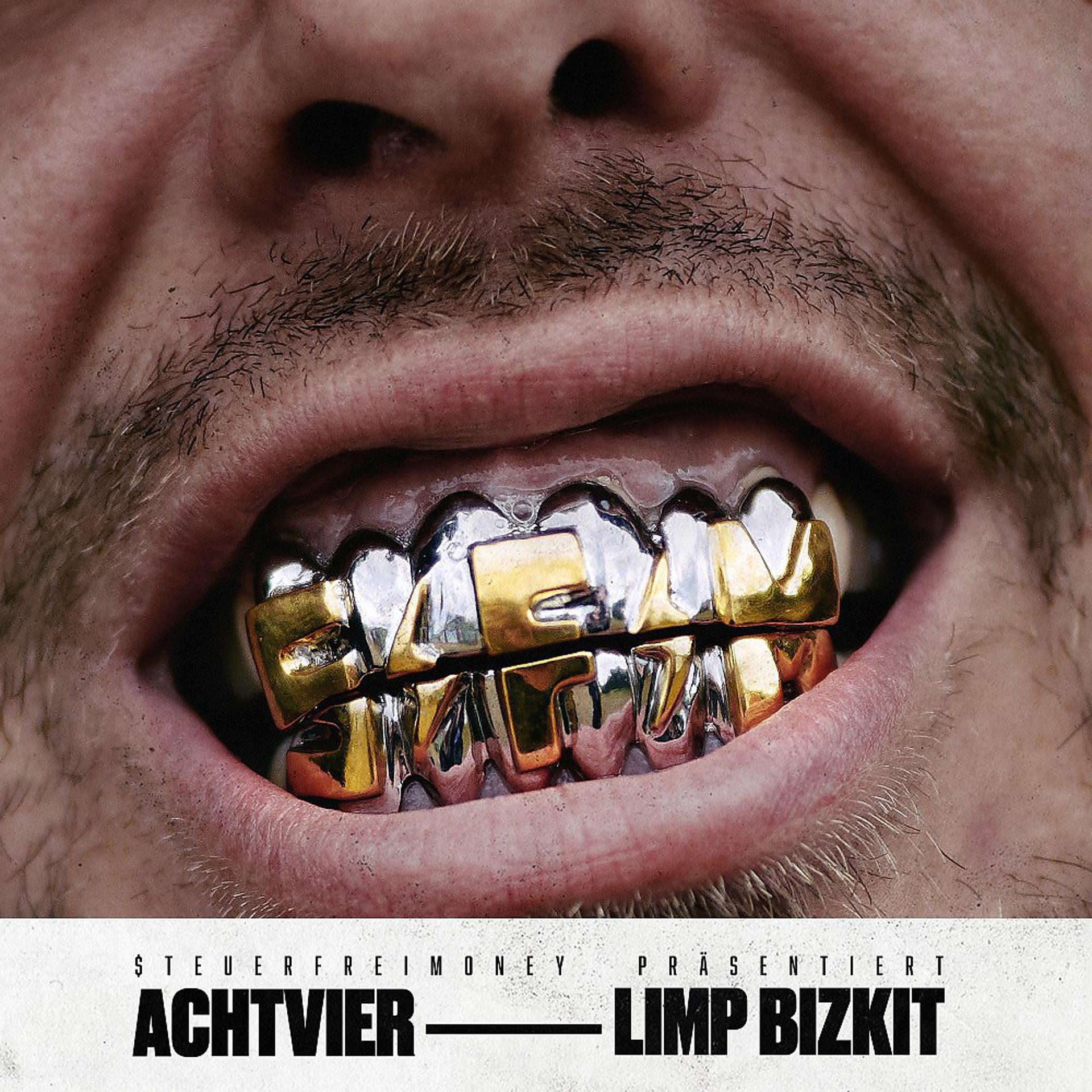 Постер альбома Limp Bizkit
