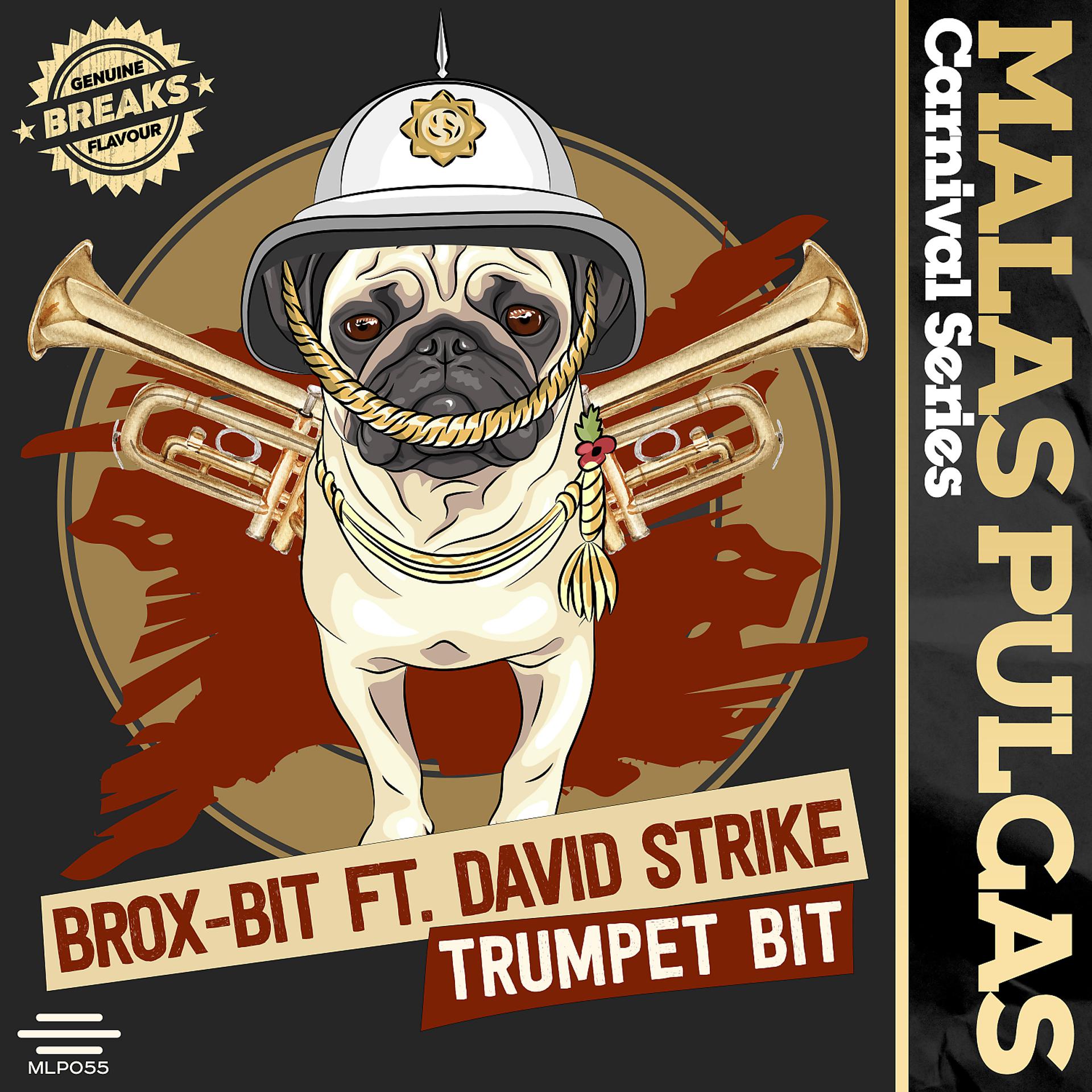 Постер альбома Trumpet Bit (feat. David Strike)