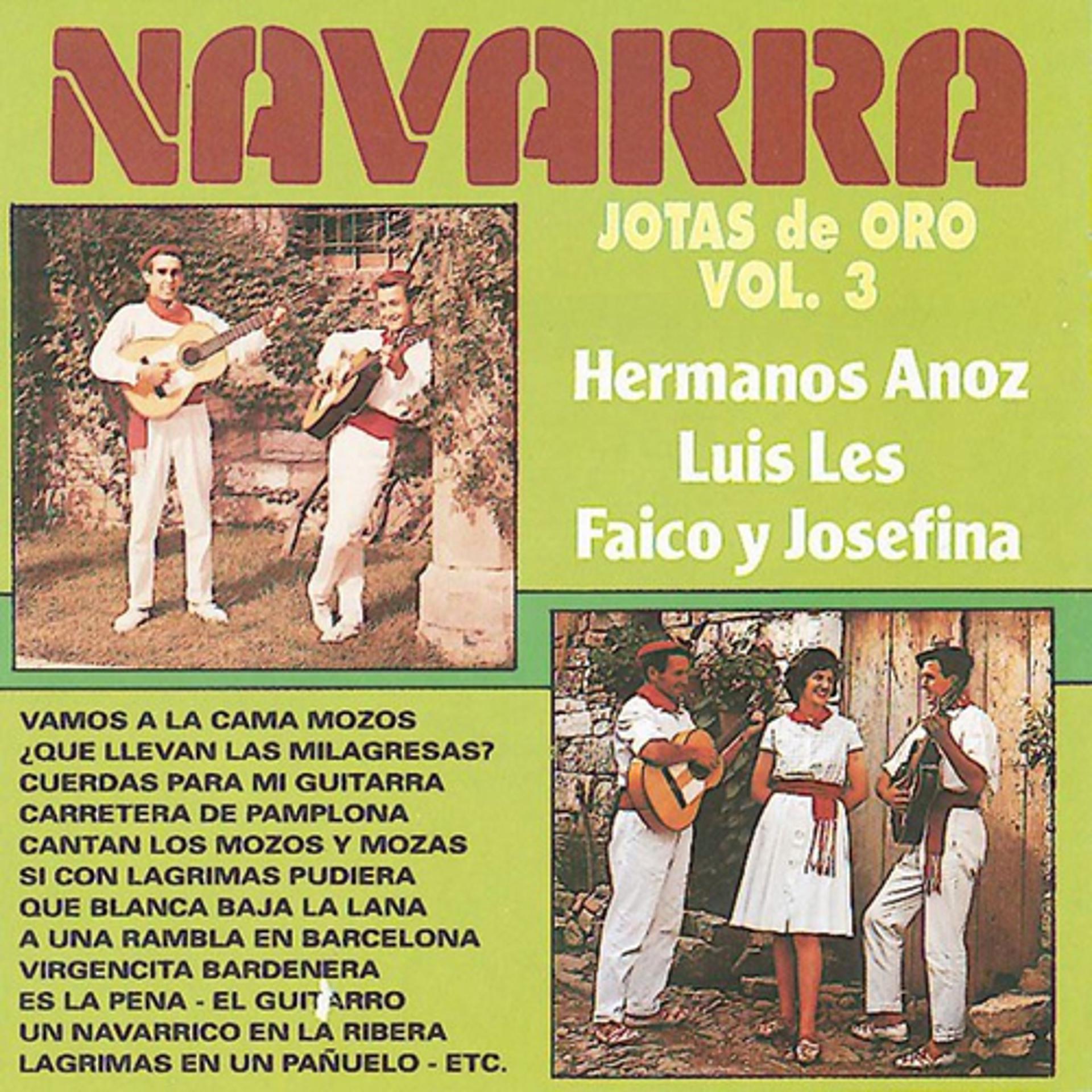 Постер альбома Jotas de Oro : Navarra, Vol. 3