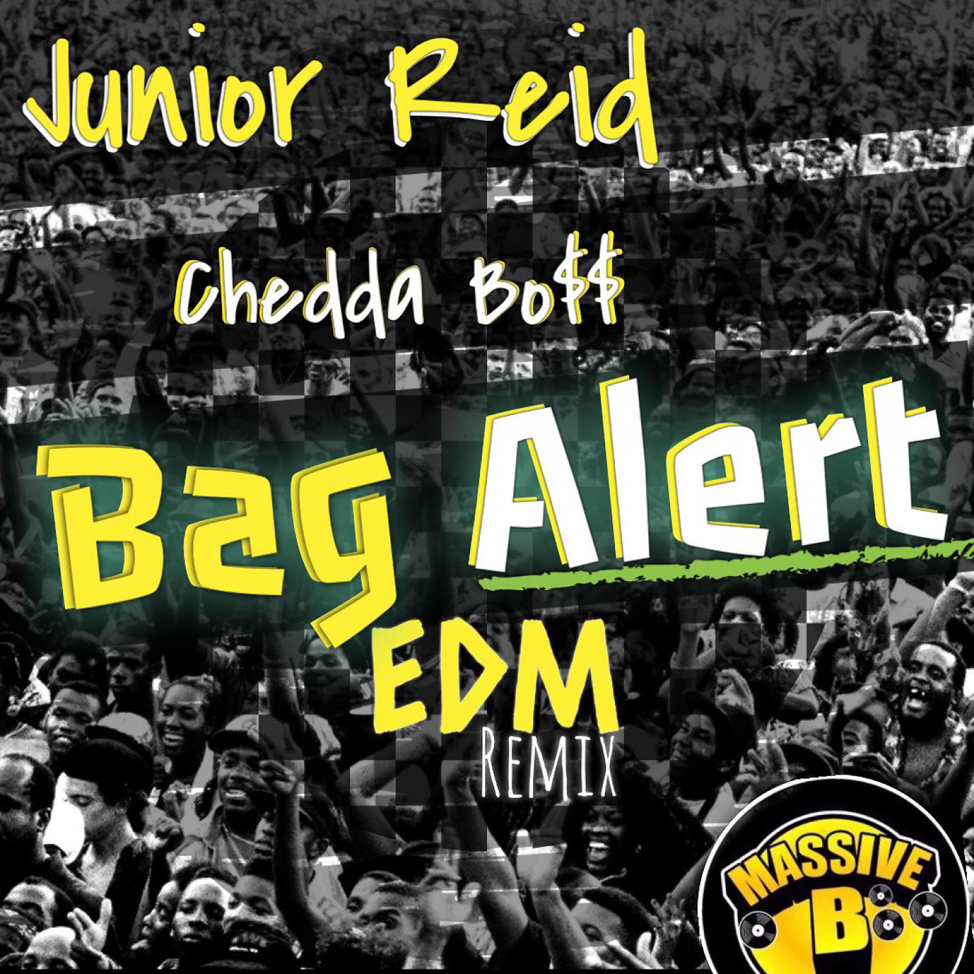 Постер альбома Bag Alert (EDM Remix)