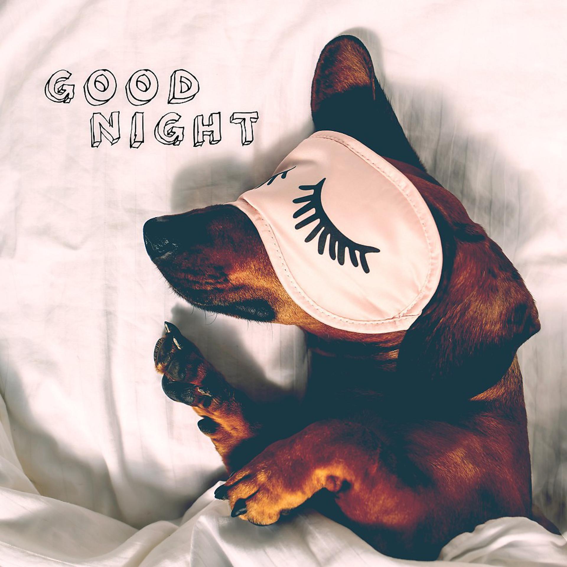 Постер альбома Good Night (Relaxing Sleep Sounds)