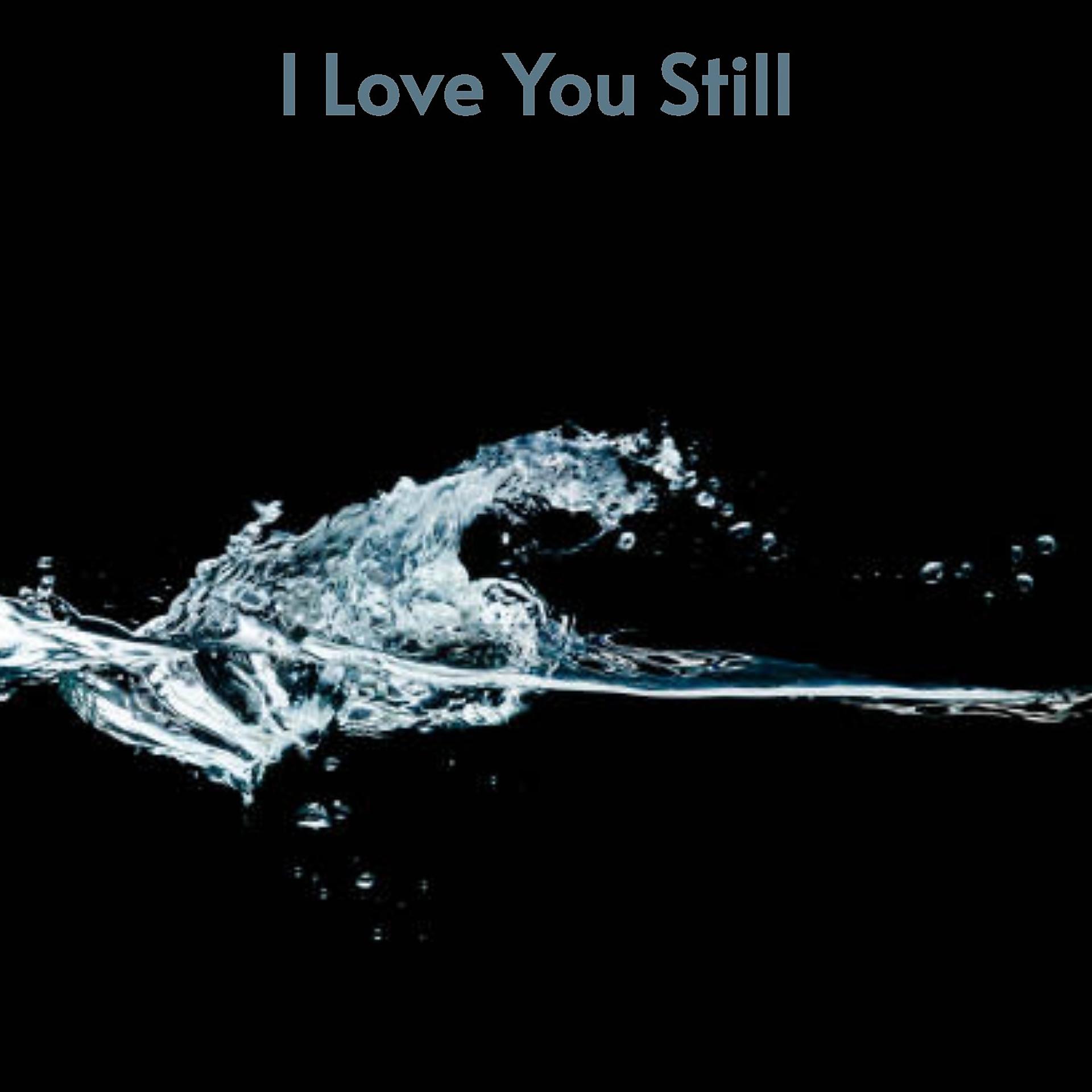 Постер альбома I Love You Still