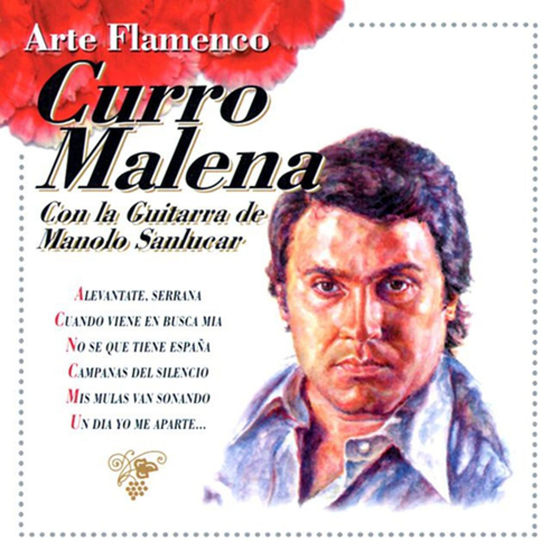 Постер альбома Arte Flamenco : Curro Malena