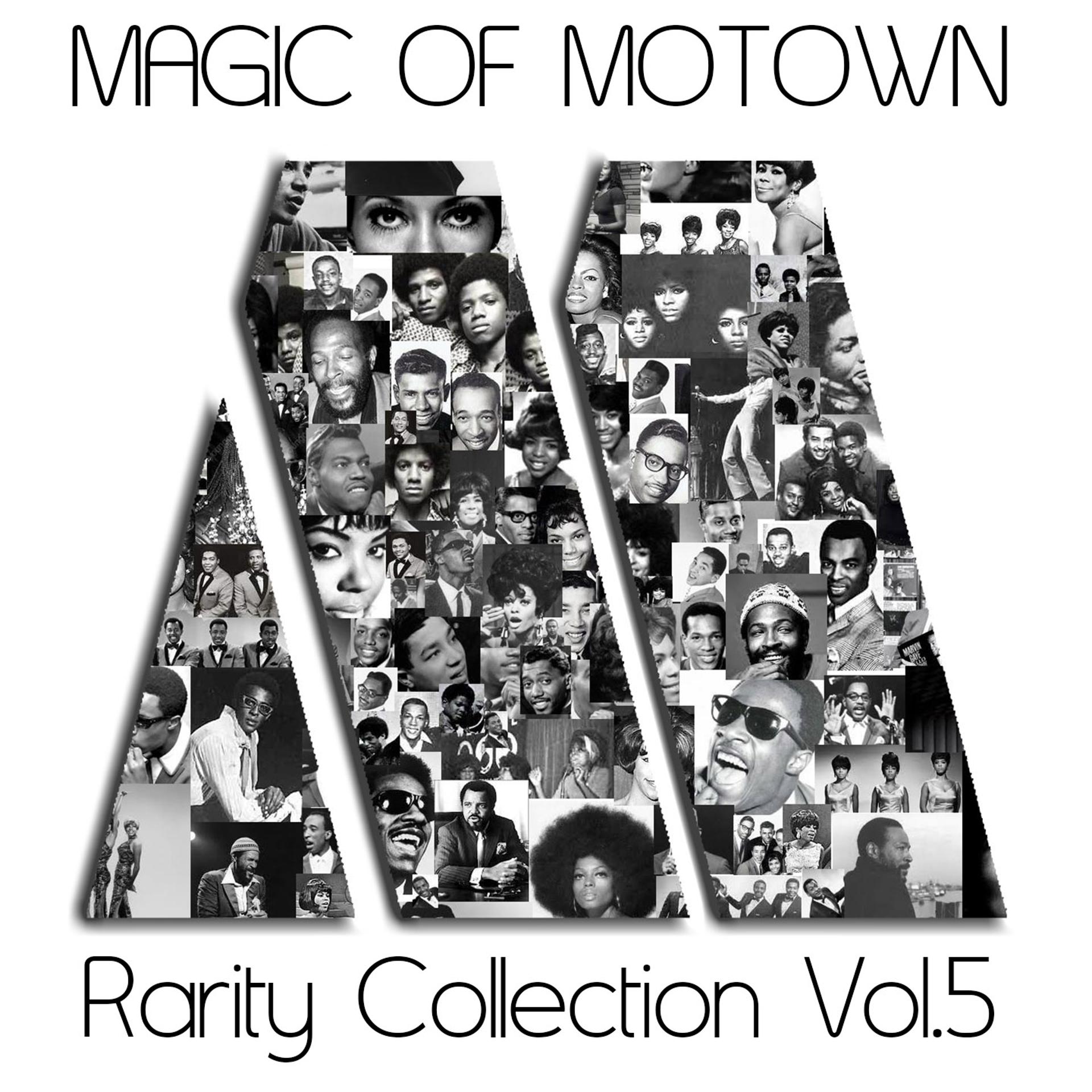 Постер альбома Tribute to Motown, Vol. 5