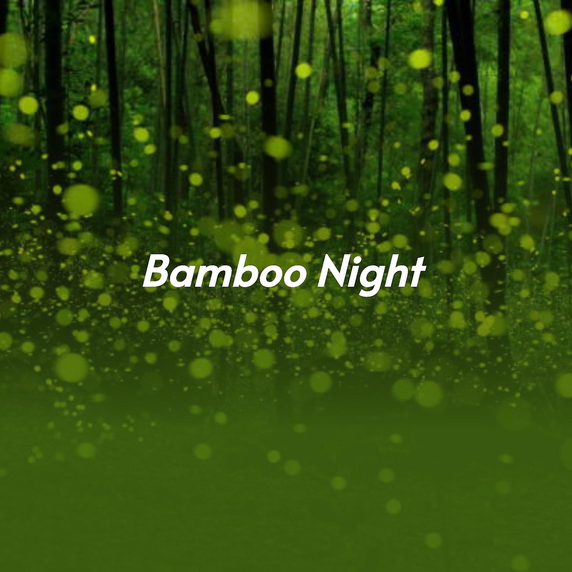 Постер альбома Bamboo Night