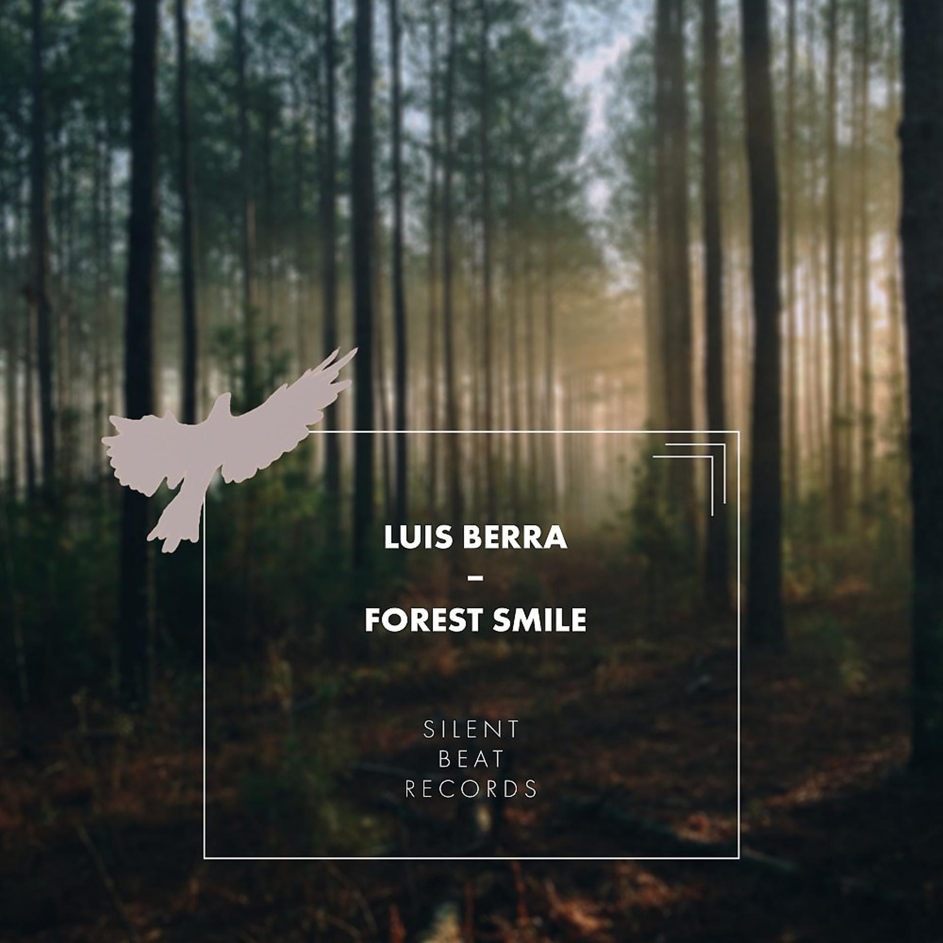 Постер альбома Forest Smile