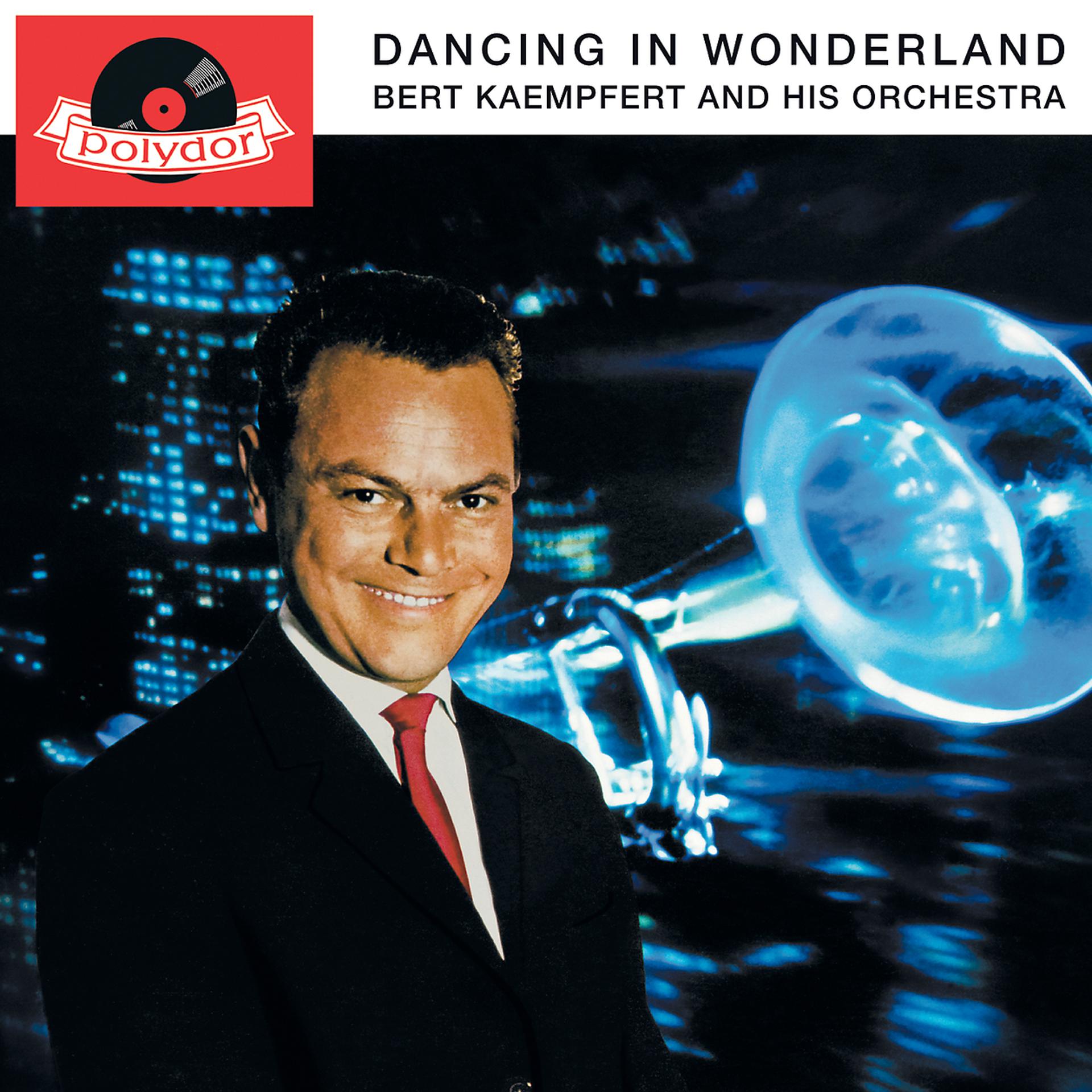Постер альбома Dancing In Wonderland