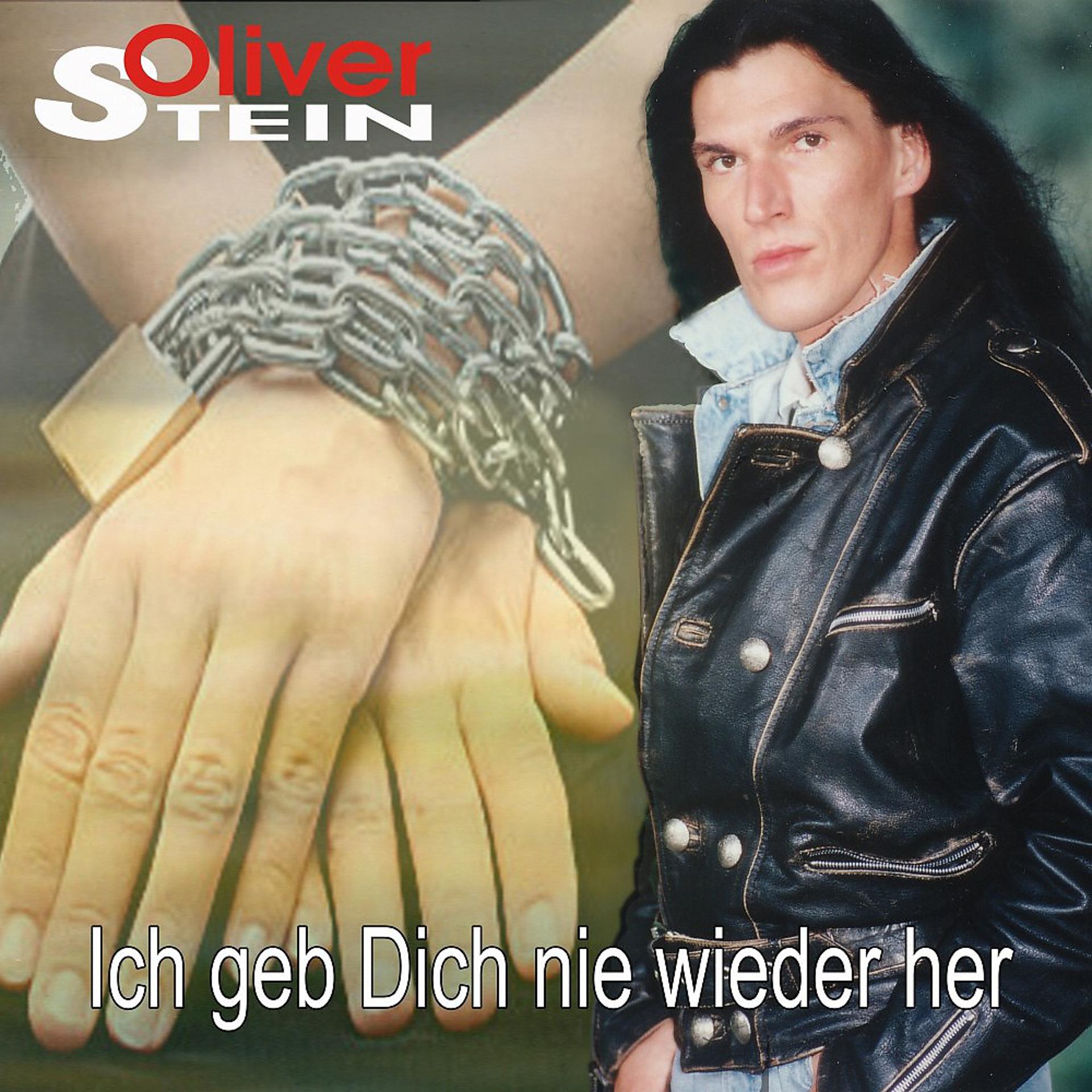 Постер альбома Ich geb Dich nie wieder her (Version von 1996)