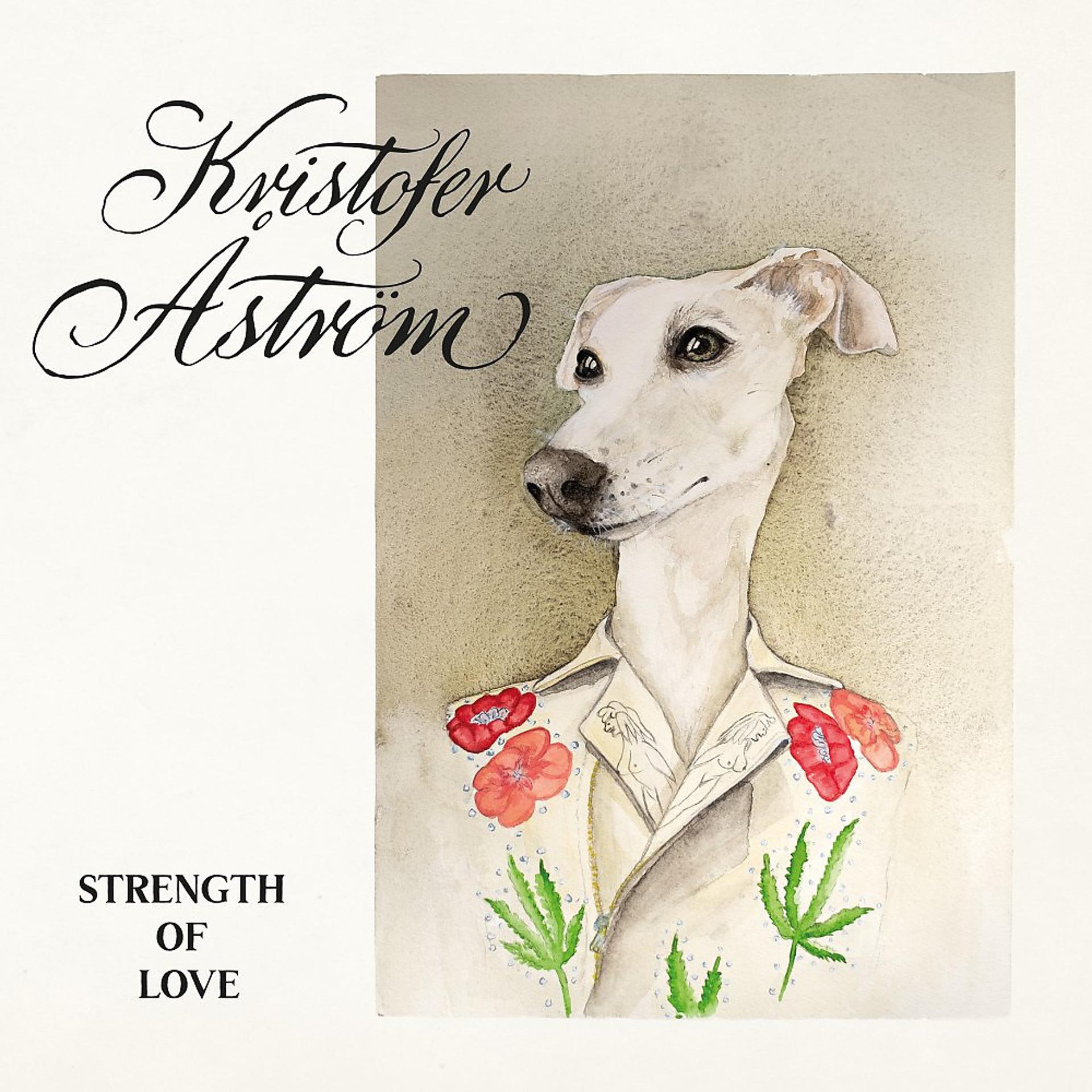 Постер альбома Strength of Love