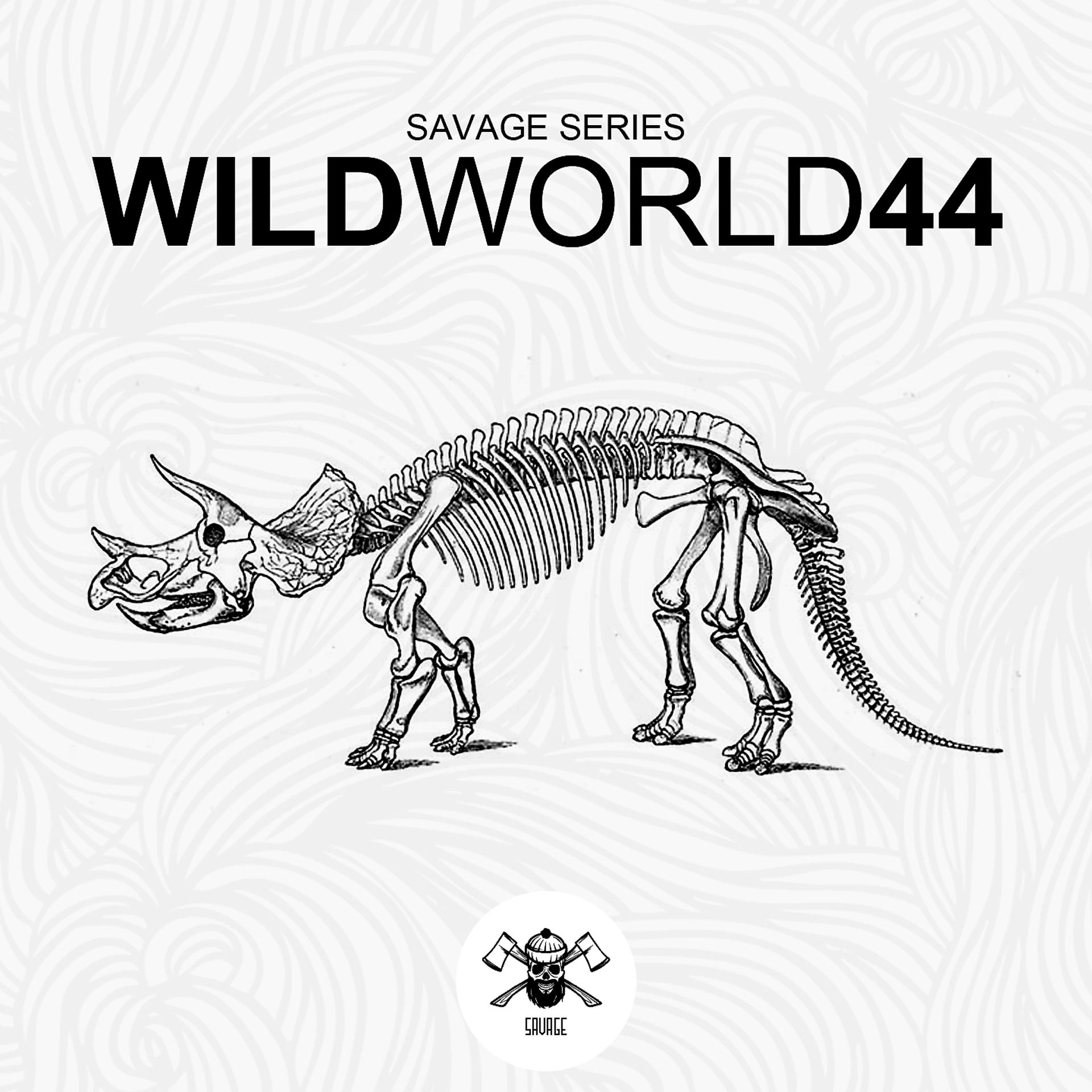 Постер альбома WildWorld44