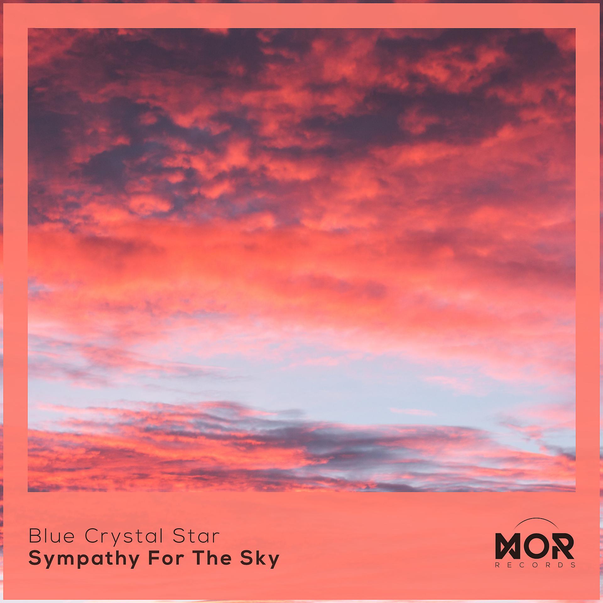Постер альбома Sympathy For The Sky