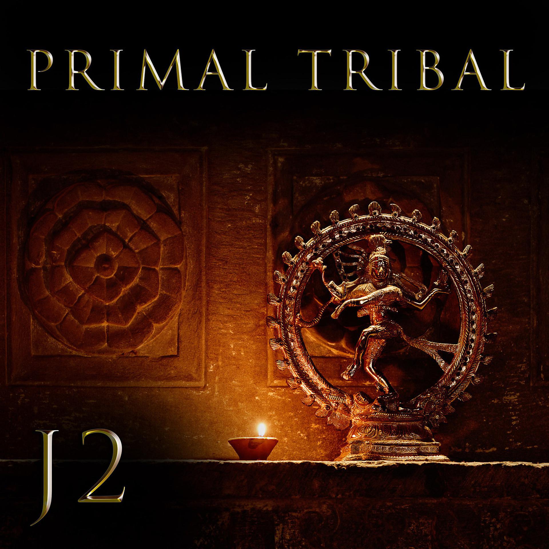 Постер альбома Primal Tribal