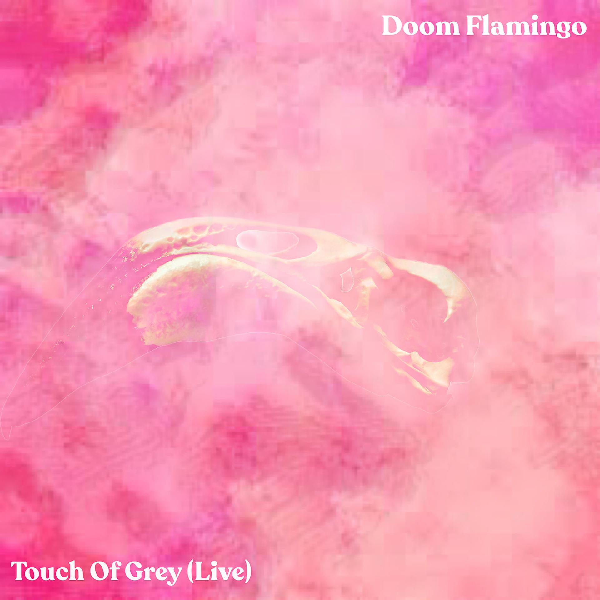 Постер альбома Touch of Grey (Live)