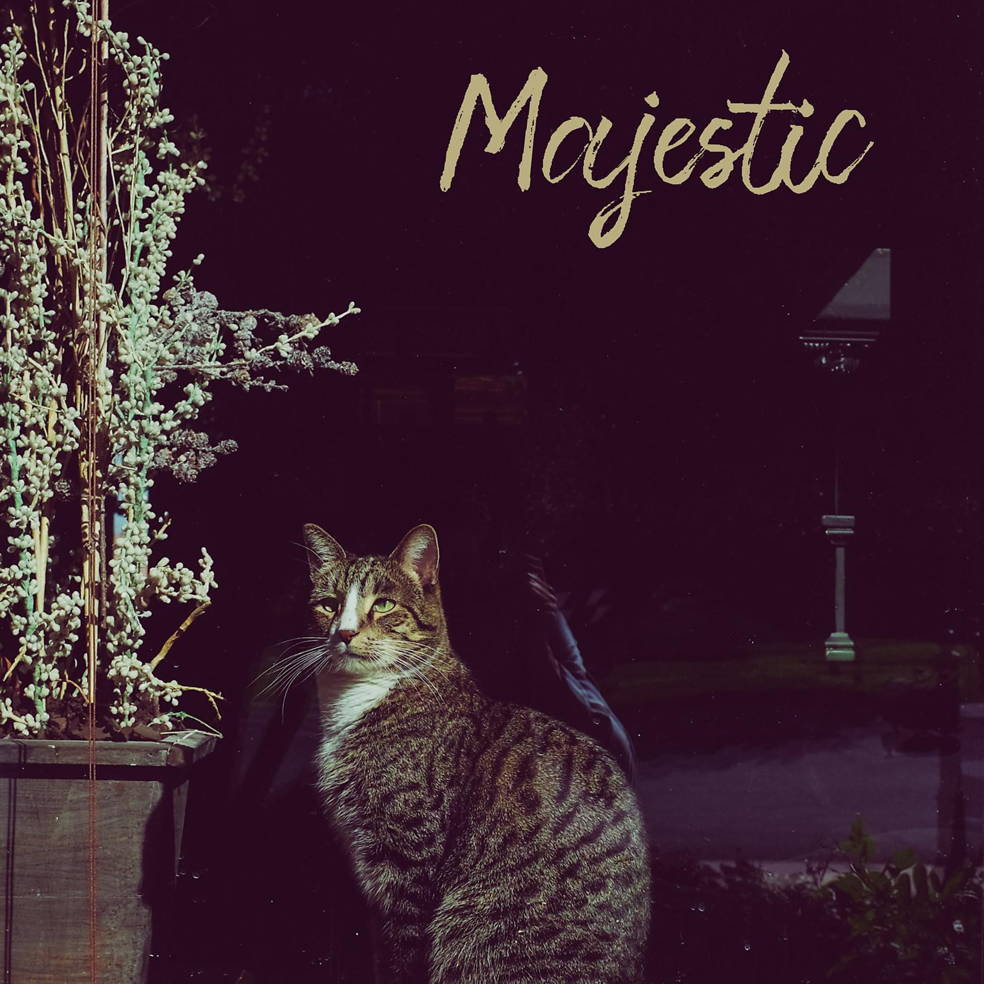 Постер альбома Majestic