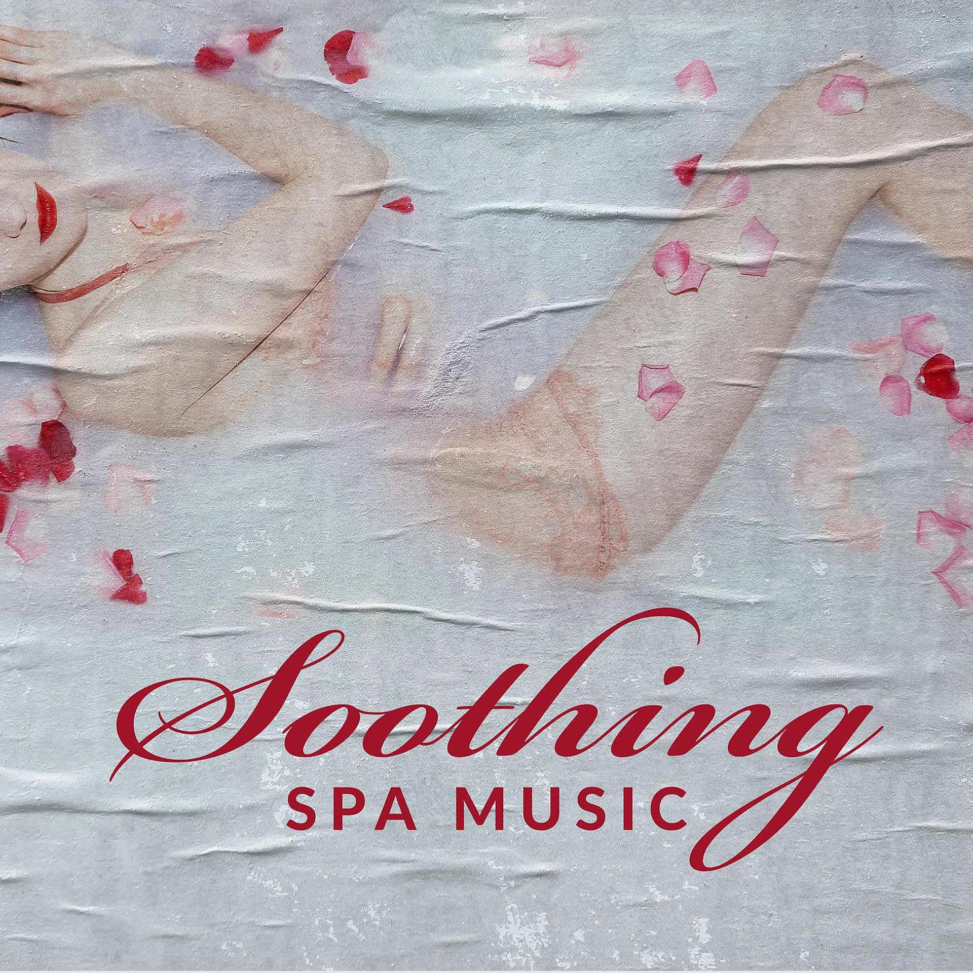 Постер альбома Soothing Spa Music: Feel Relaxation and Happiness, Anti-Stress Atmosphere, Perfect Comfort Zone