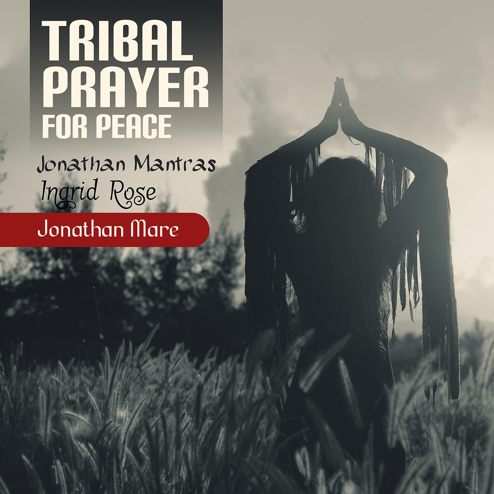 Постер альбома Tribal Prayer for Peace (Shamanic Drums, Native Flute)