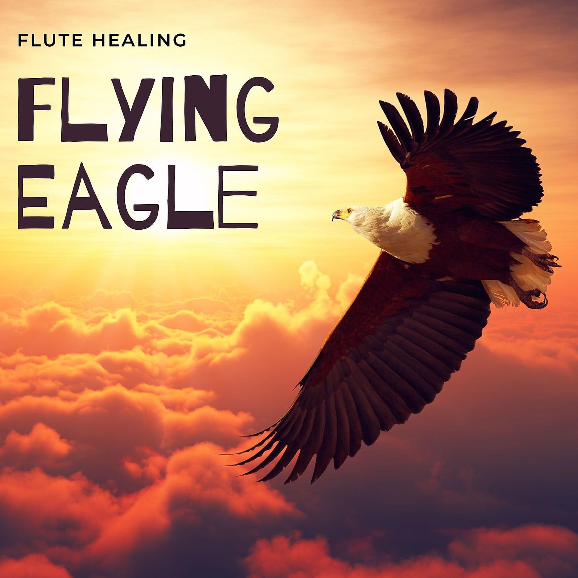 Постер альбома Flying Eagle - Calming Flute Music