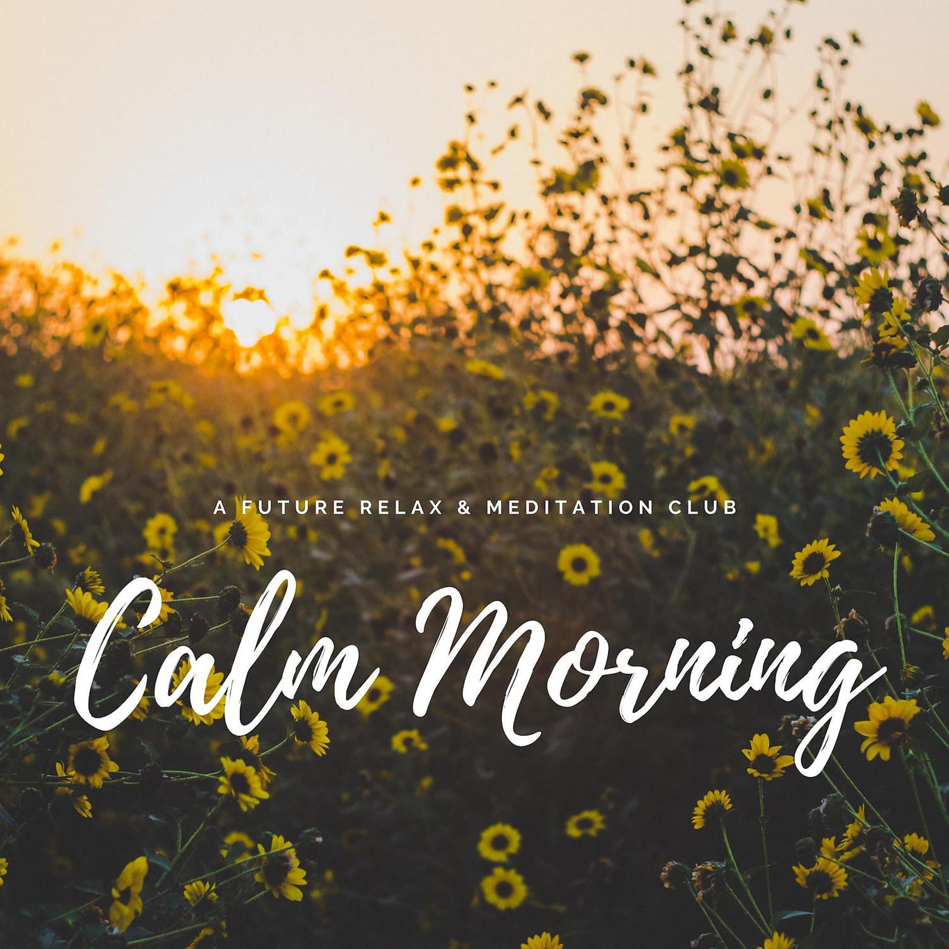 Постер альбома Calm Morning