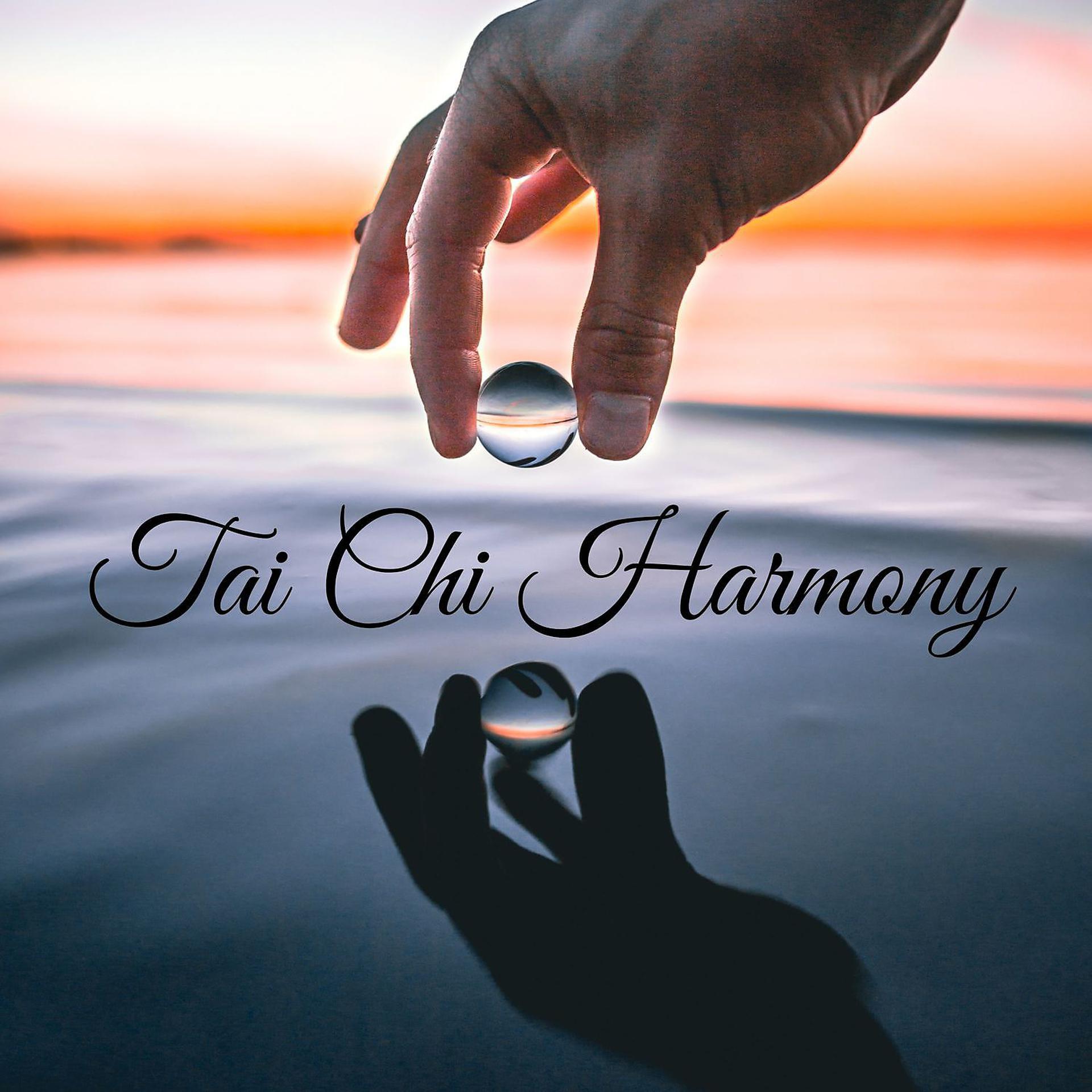Постер альбома Tai Chi Harmony