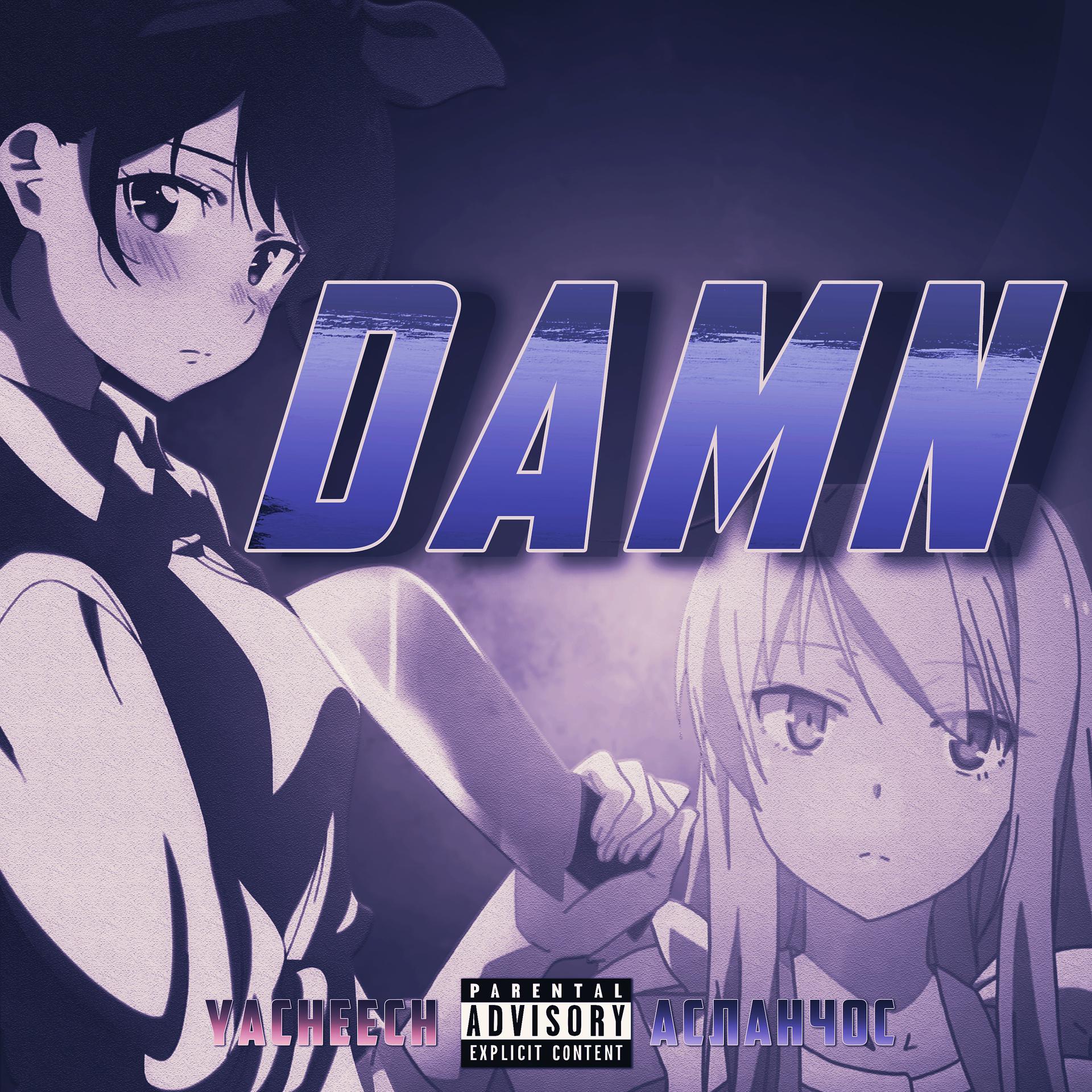 Постер альбома Damn (feat. АсланЧос)