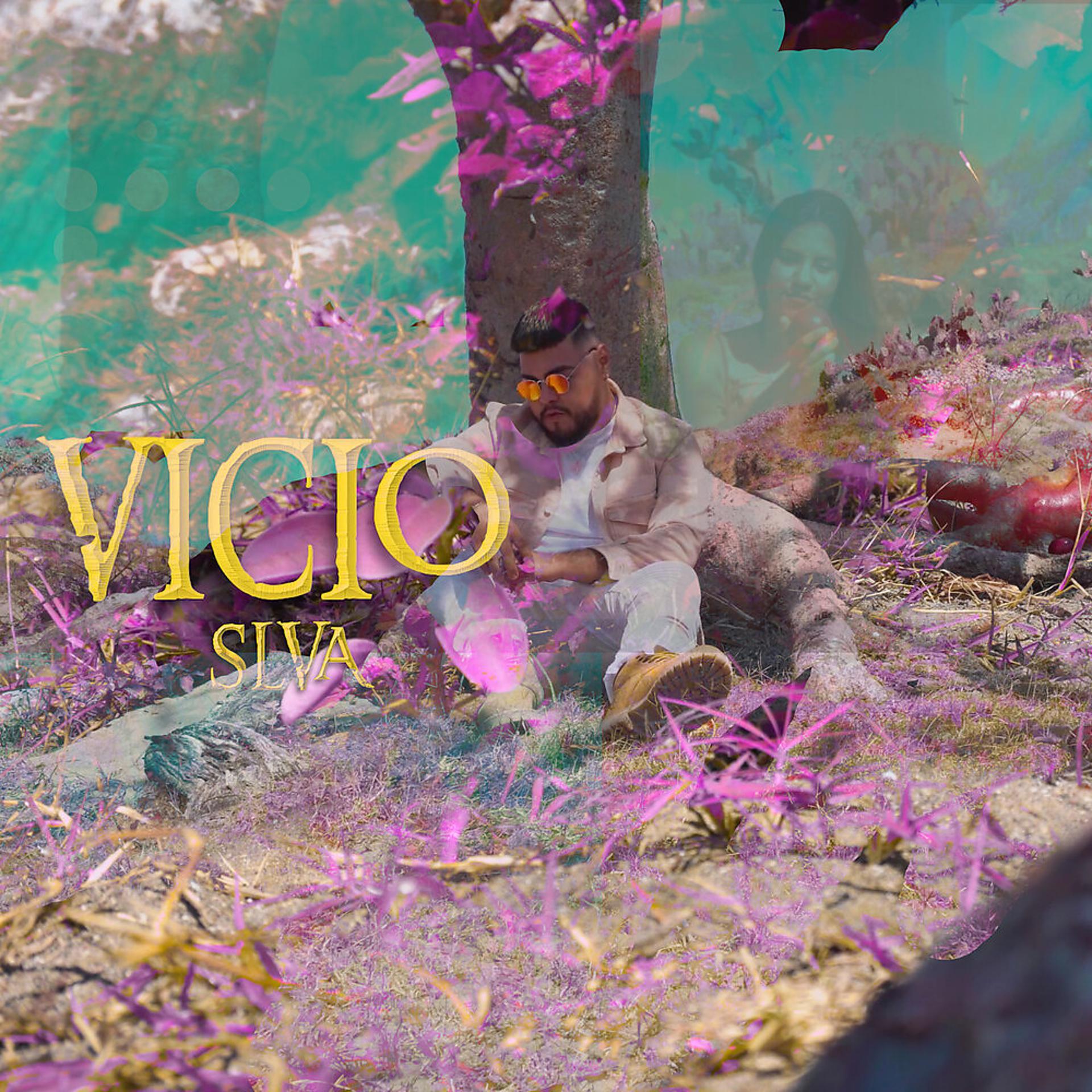 Постер альбома Vicio