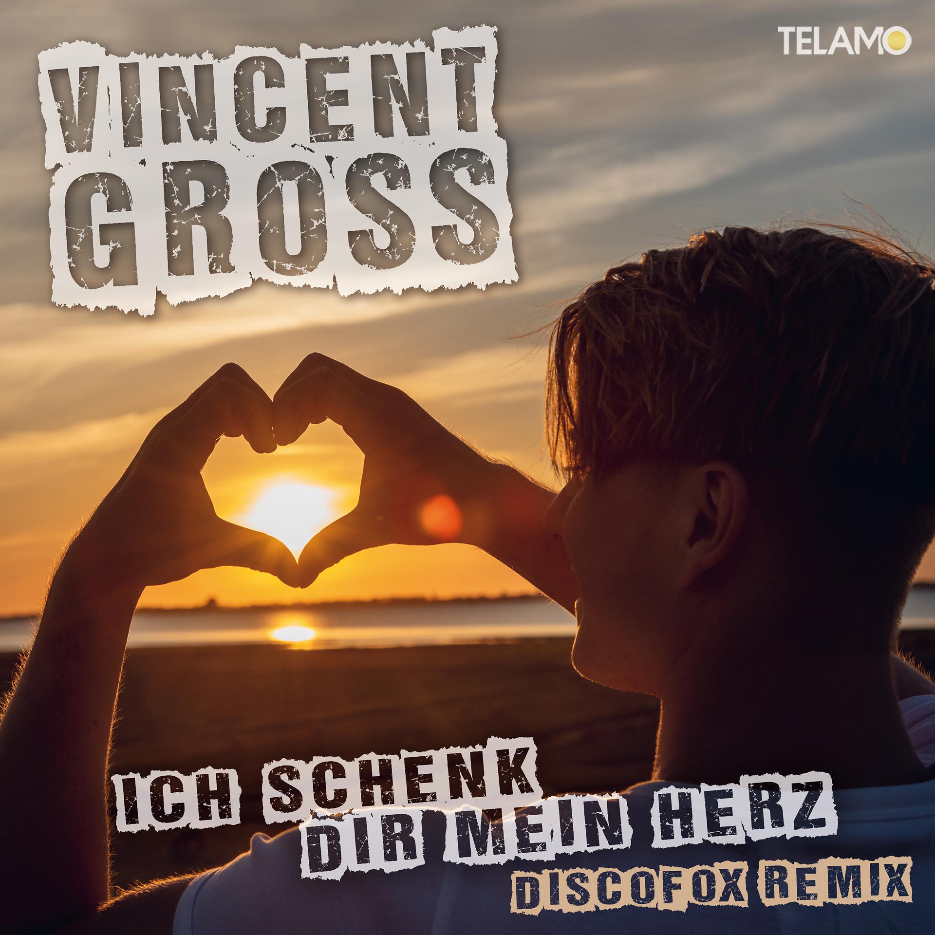 Постер альбома Ich schenk Dir mein Herz (Discofox Remix)