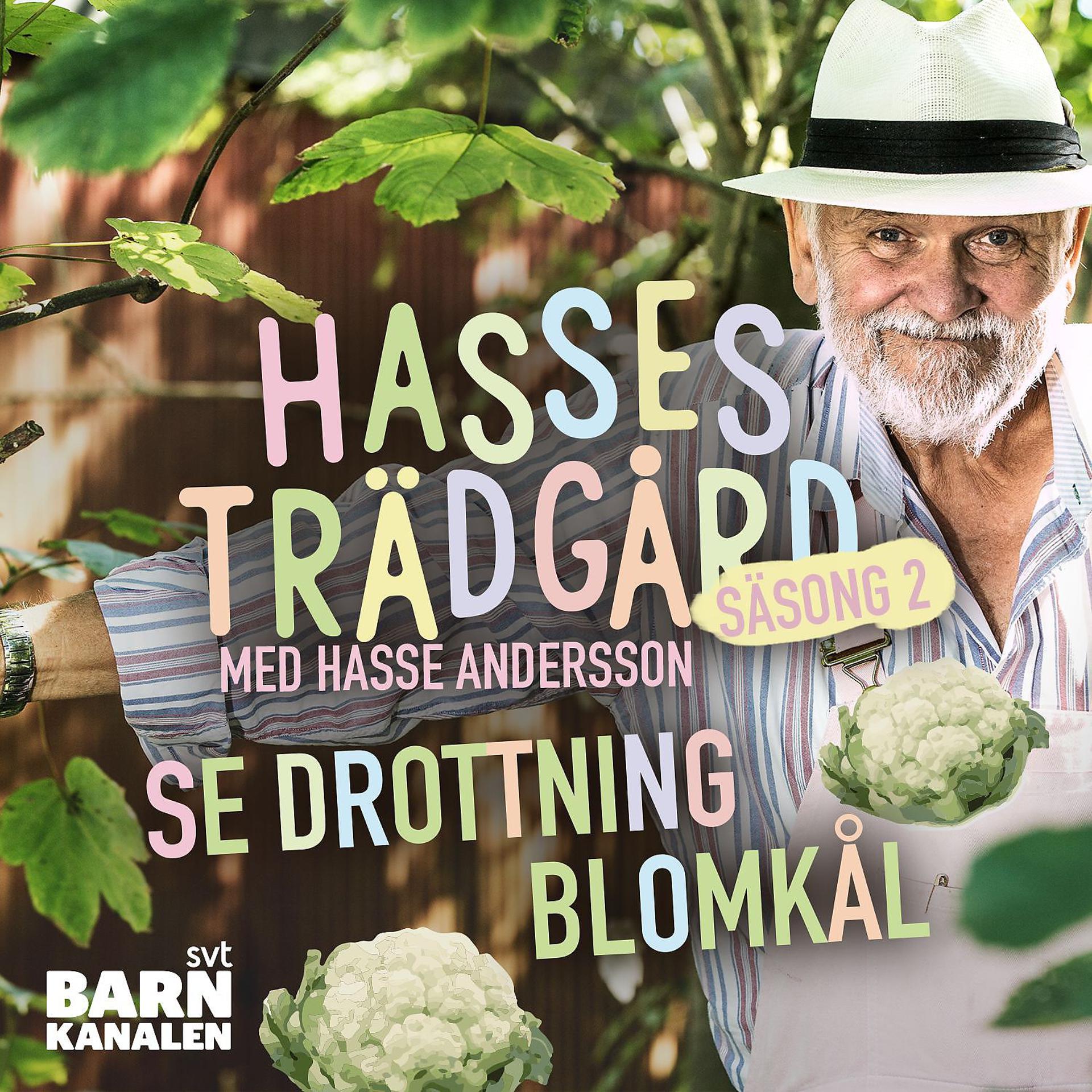 Постер альбома Drottning Blomkål