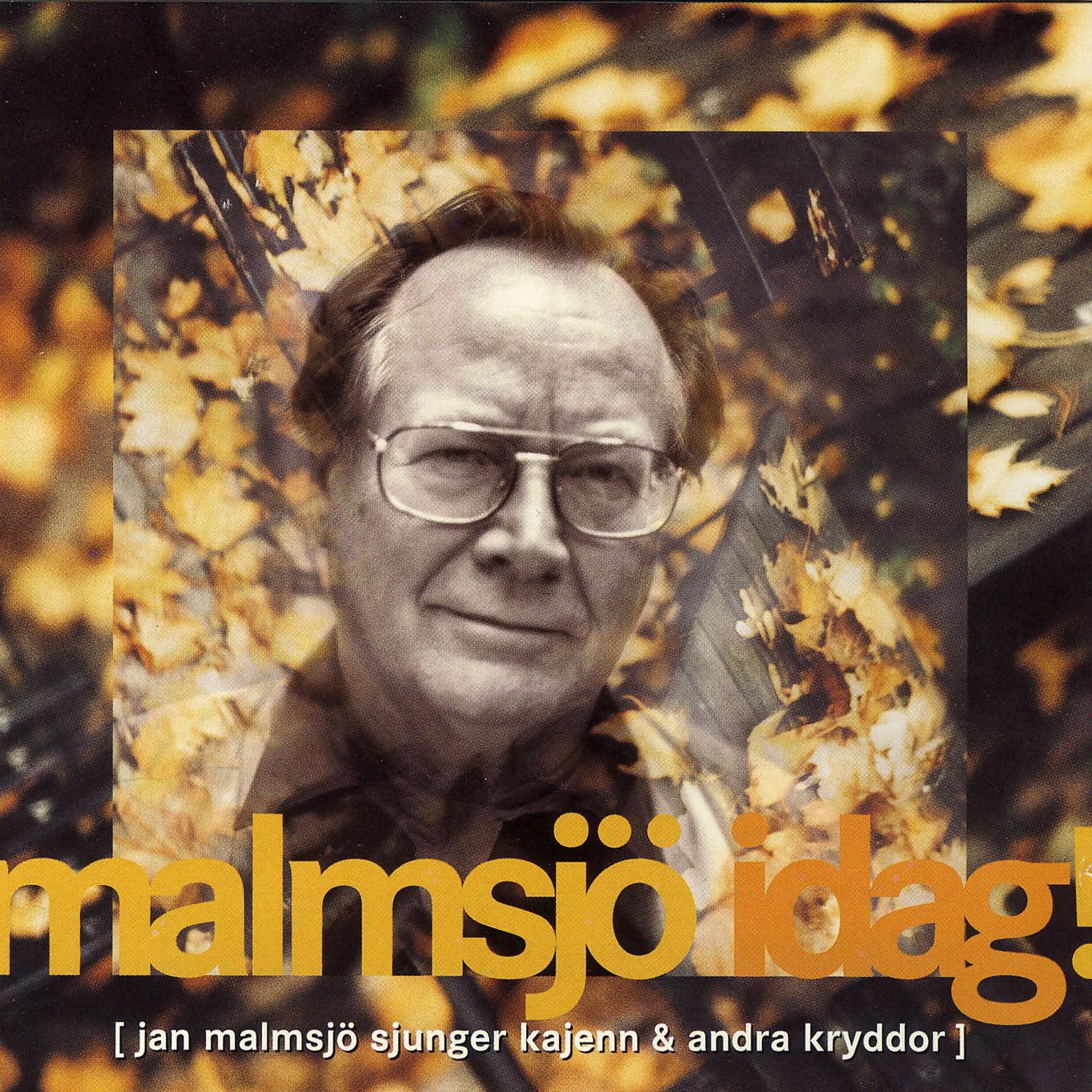 Постер альбома Malmsjö Idag!