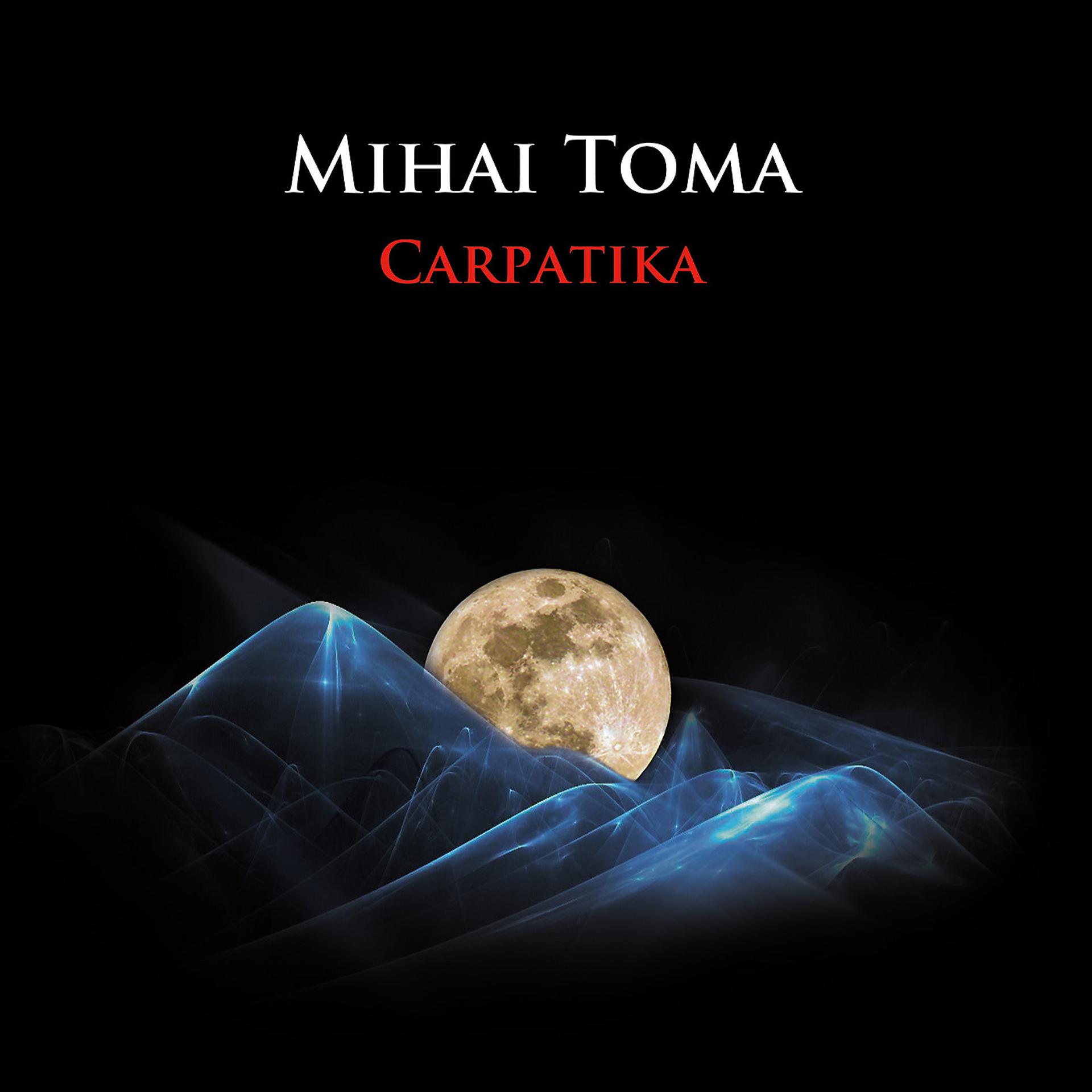 Постер альбома Carpatika