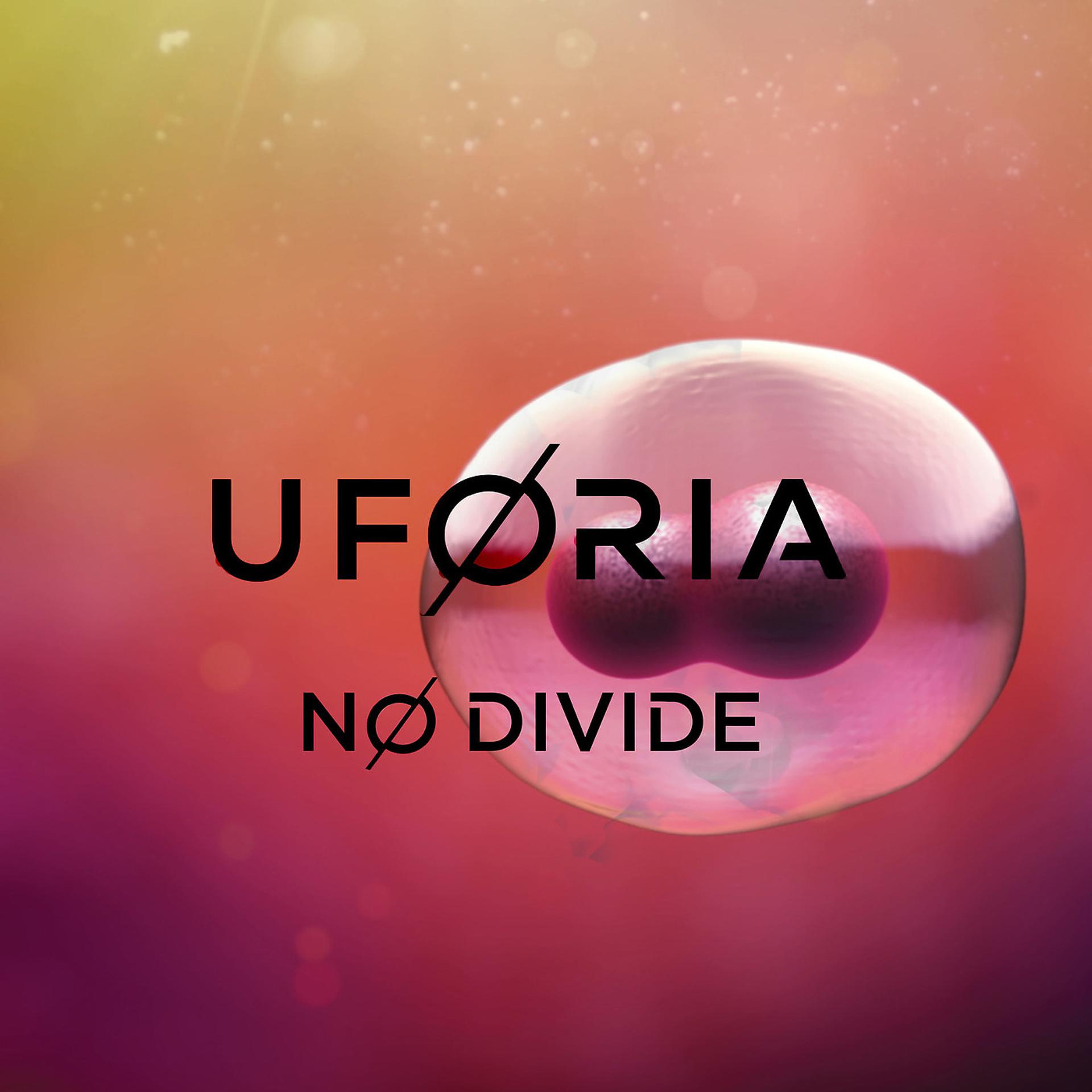 Постер альбома No Divide