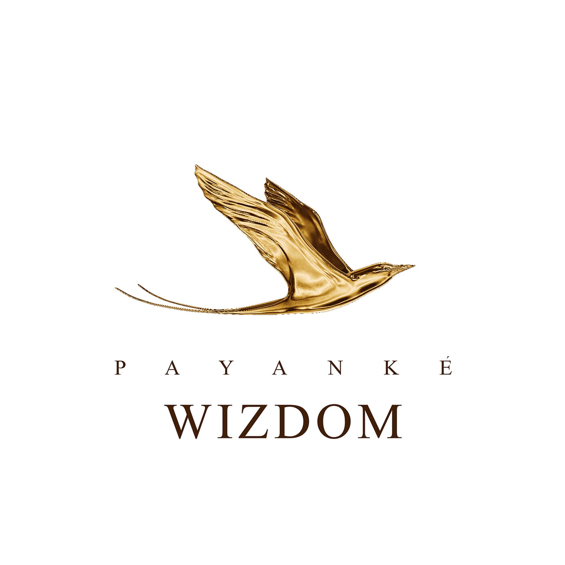 Постер альбома Payanké