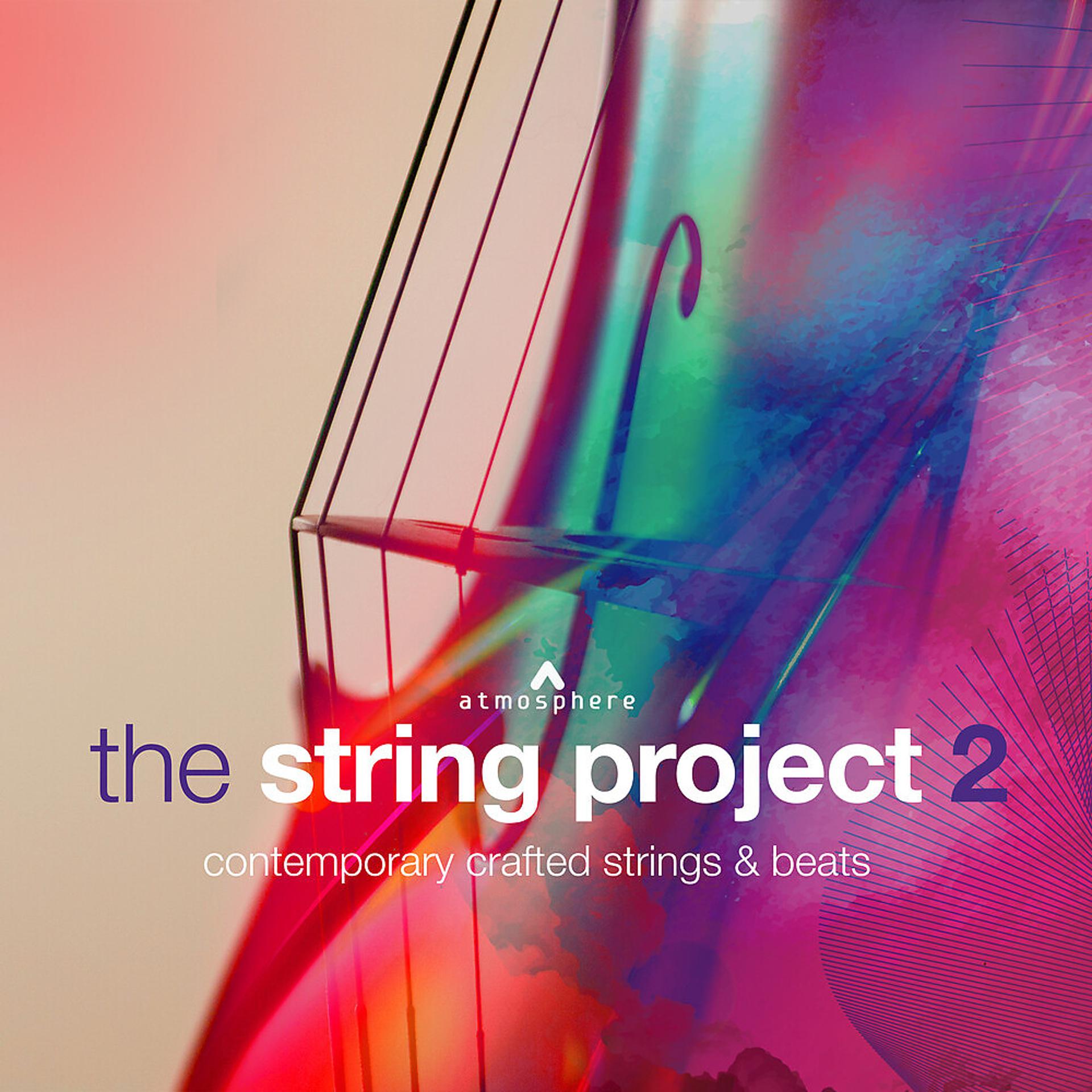 Постер альбома The String Project 2