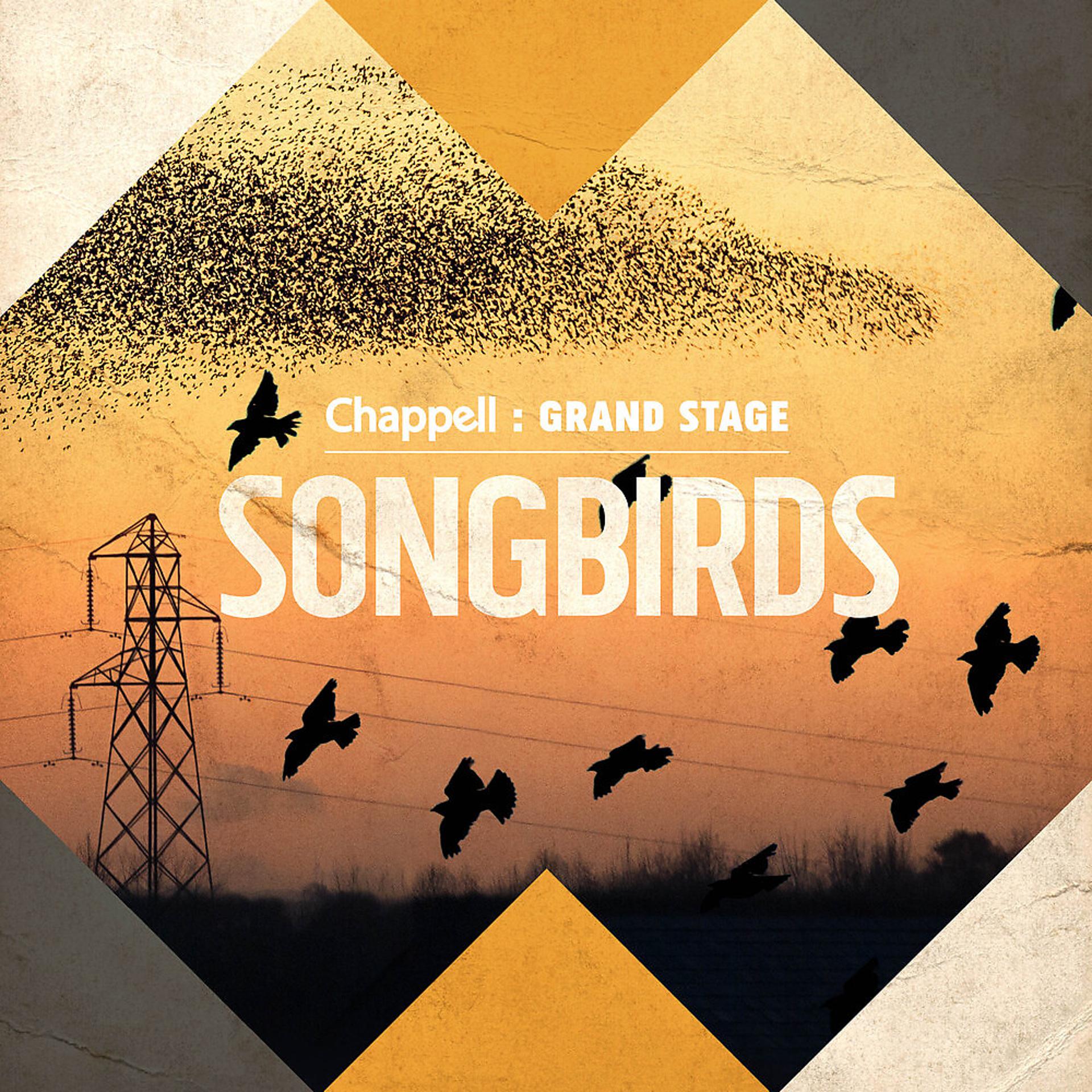 Постер альбома Songbirds